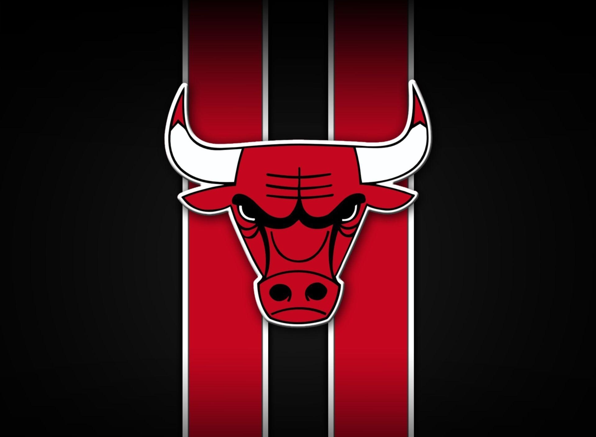 Chicago Bulls
