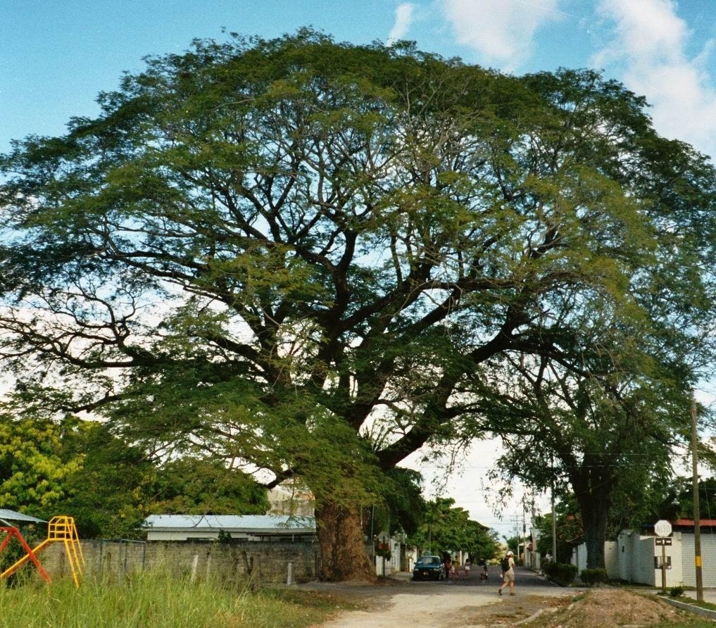 Liberia, HD, Windows Hintergrund, Landschaft, Afrika, 1020x900 HD Desktop