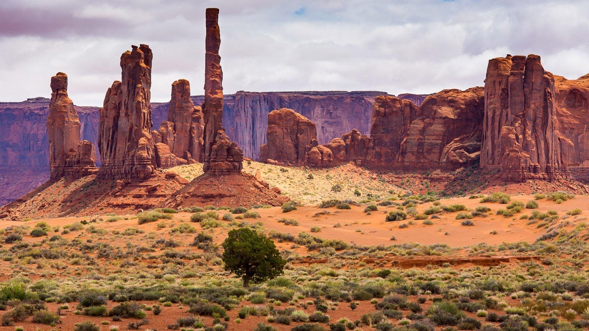 Arizona Wüste, Desktop, Landschaft, Natur, 1920x1080 Full HD Desktop