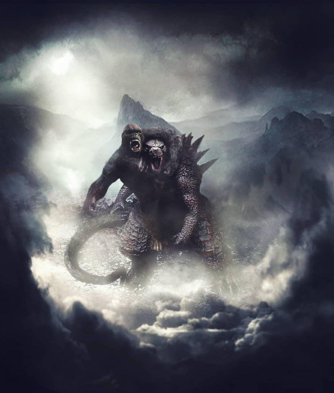 Kong, Godzilla, Kampf, Film, Bild, 1080x1270 HD Handy