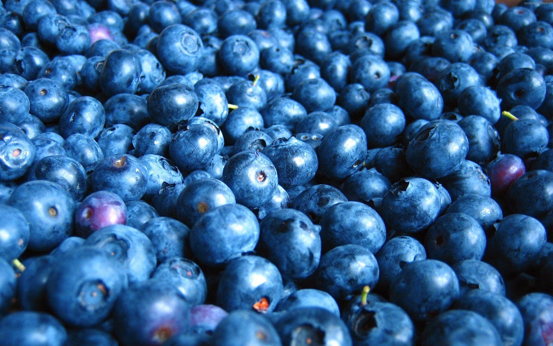 Blaubeere, HD, Hintergrund, Bild, Frucht, 1920x1200 HD Desktop