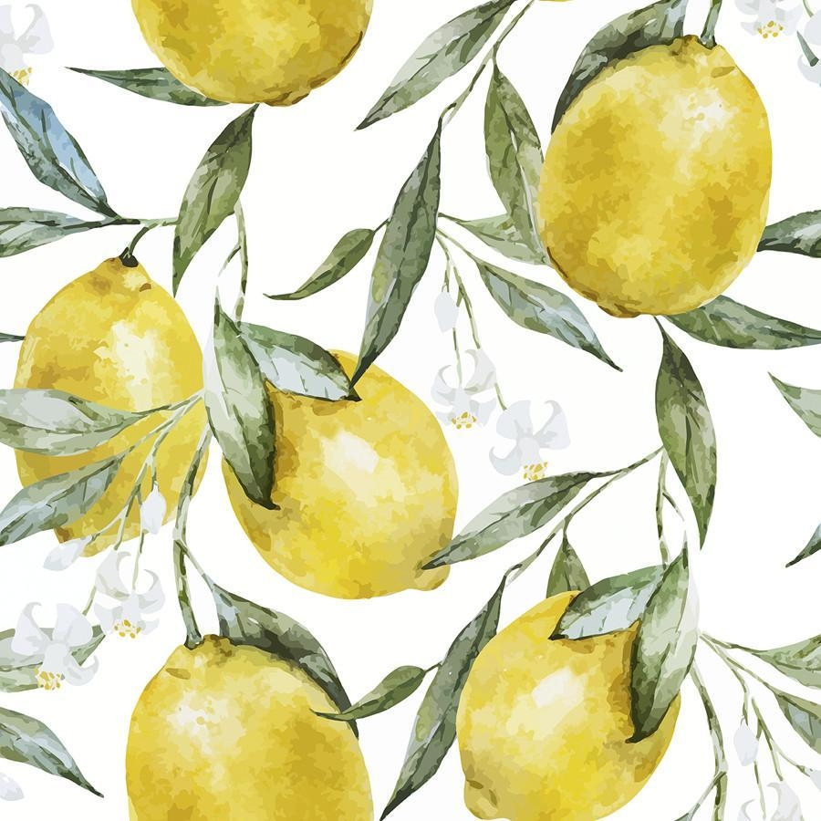 Lemon Leben, abnehmbar, Zitrusfrüchte, Dekor, Inspiration, 900x900 HD Handy