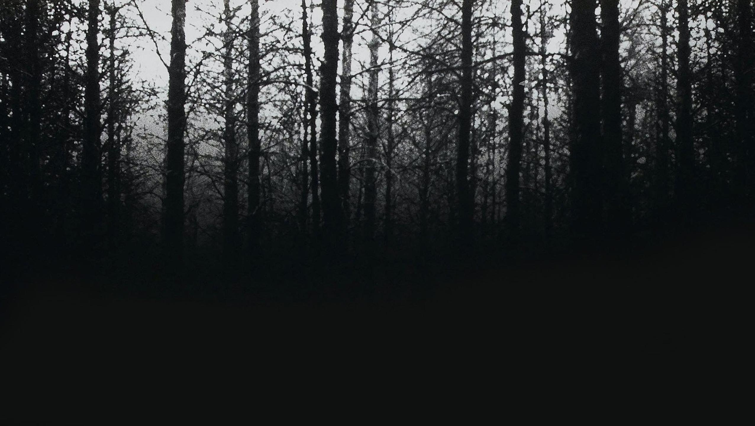 Blair Witch, 1999, Hintergrund, Horror, Hexe, 2560x1450 HD Desktop