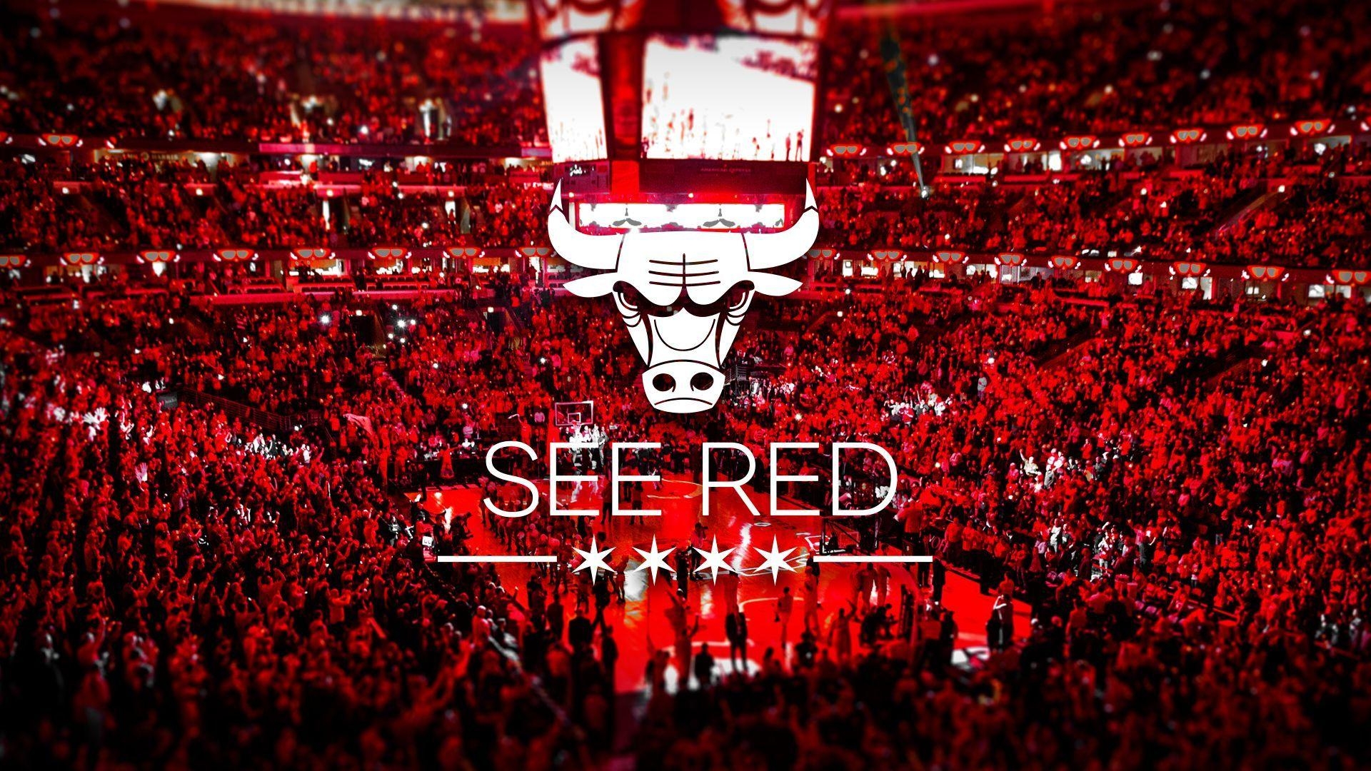 Chicago Bulls, Roth Familie, Sport, NBA, Basketball, 1920x1080 Full HD Desktop