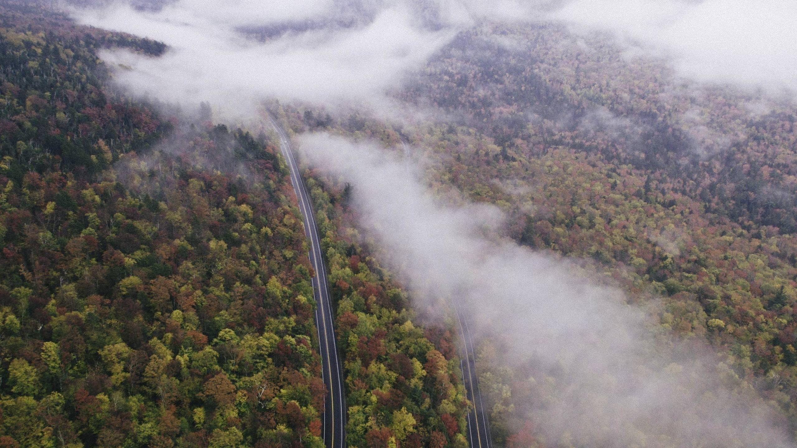 Herbst, New Hampshire, HD, Natur, USA, 2560x1440 HD Desktop