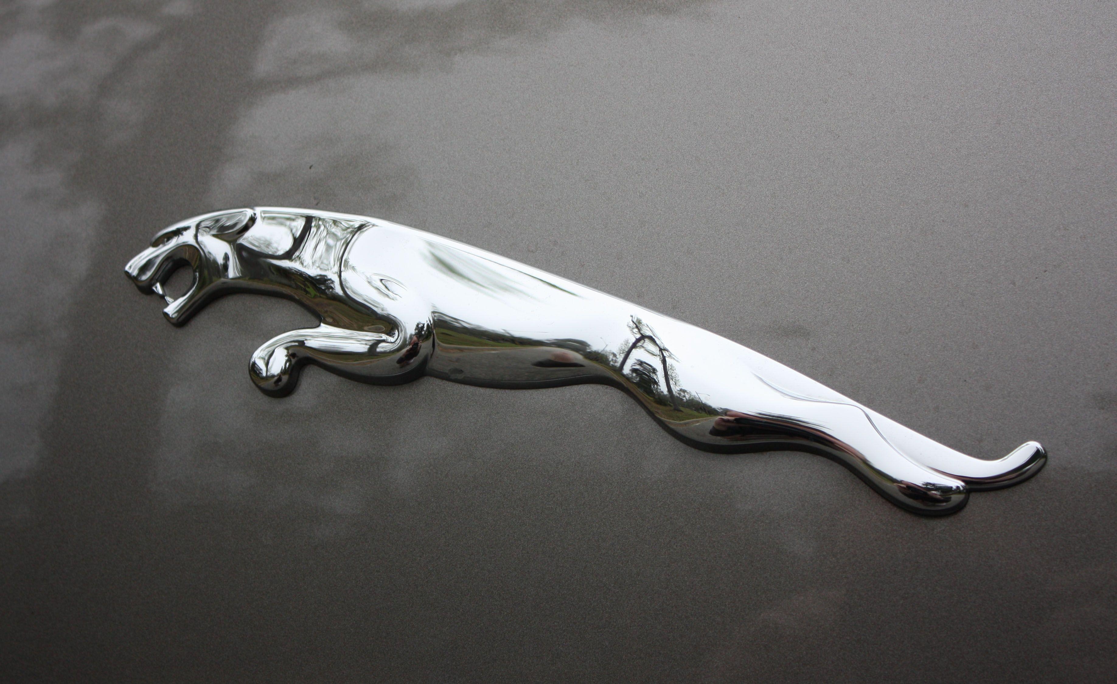 Jaguar Logo, Automobilhersteller, Design, Luxusklasse, Emblem, 3680x2250 HD Desktop