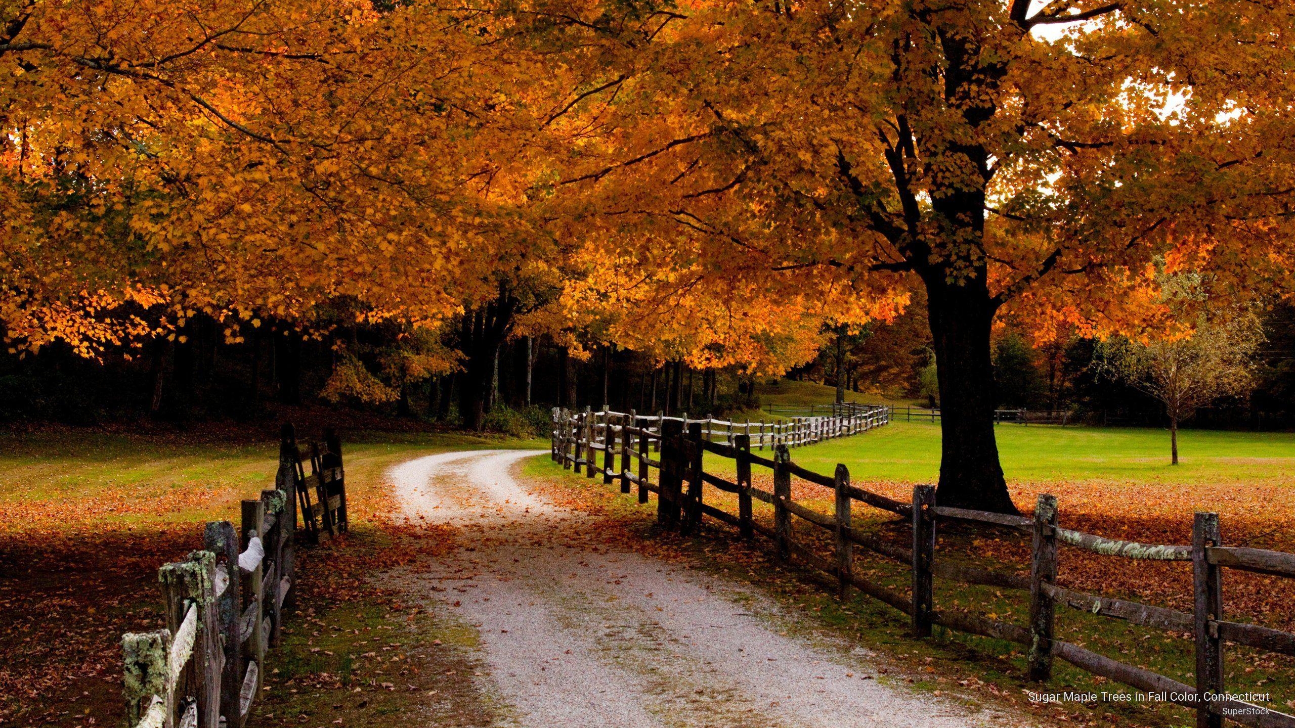 Connecticut, Reisen, USA, Natur, Fotografie, 2560x1440 HD Desktop