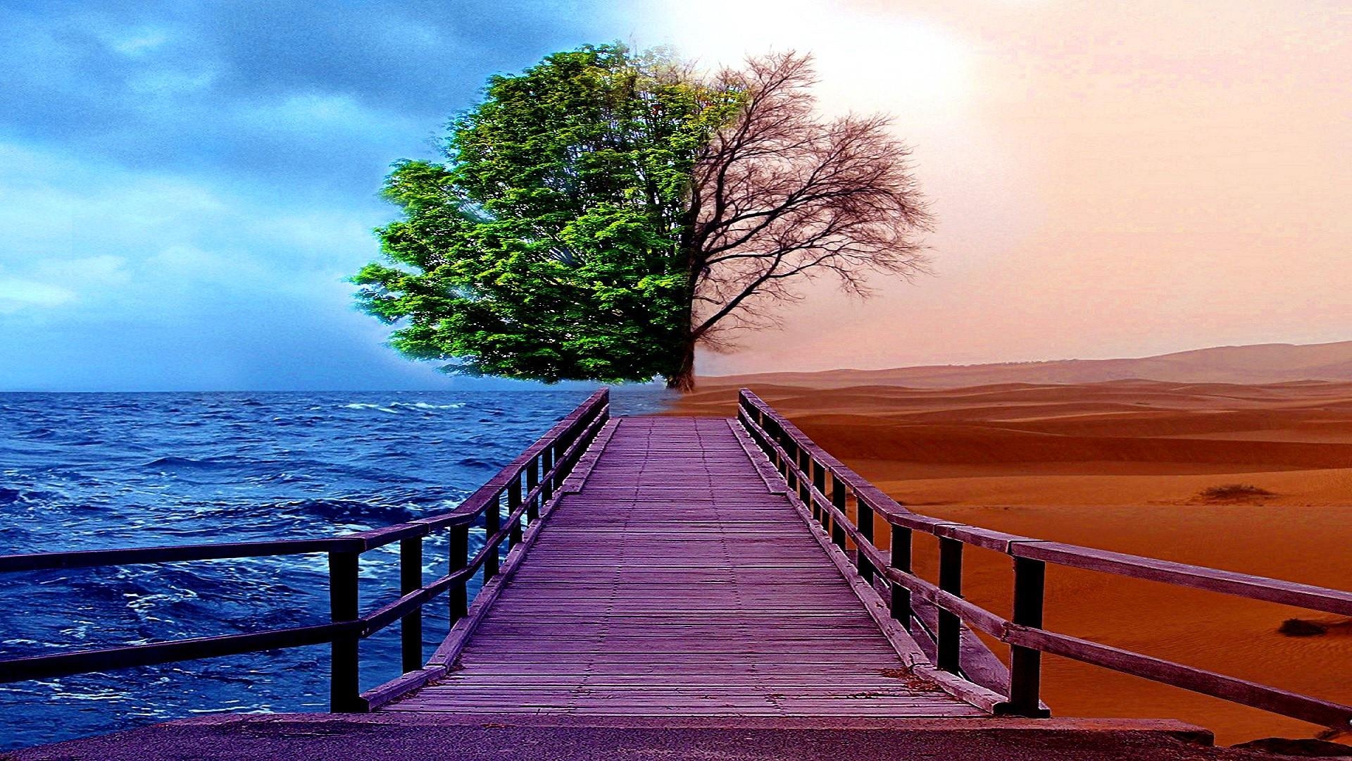 Wüste, Meer, Pier, Baum, Natur, 1920x1080 Full HD Desktop