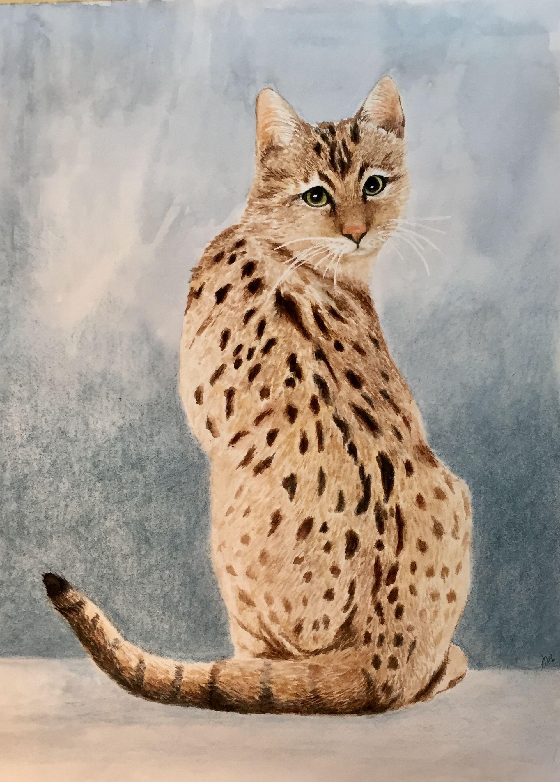 Bengal Katze, Aquarell, Kunst, Jane McMaster, Malerei, 1930x2690 HD Handy