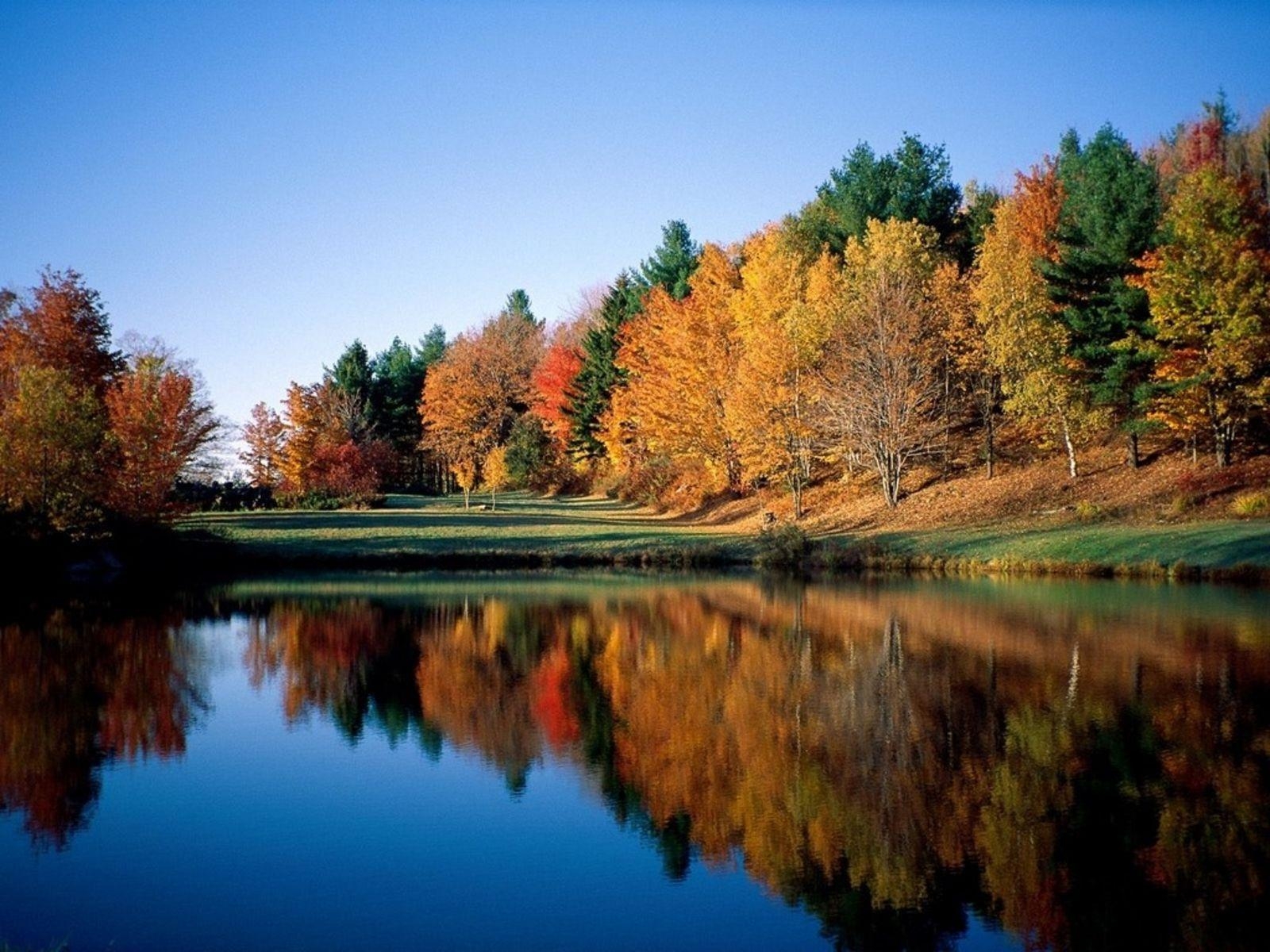 Herbst, Frühling, Natur, Echtzeit, Hintergrund, 1600x1200 HD Desktop