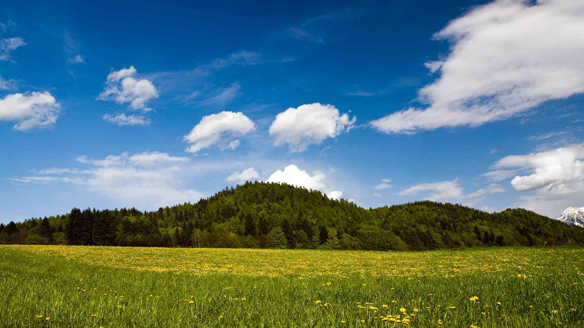 Frühling, Schön, Kostenlos, Freude, Blüte, 1920x1080 Full HD Desktop