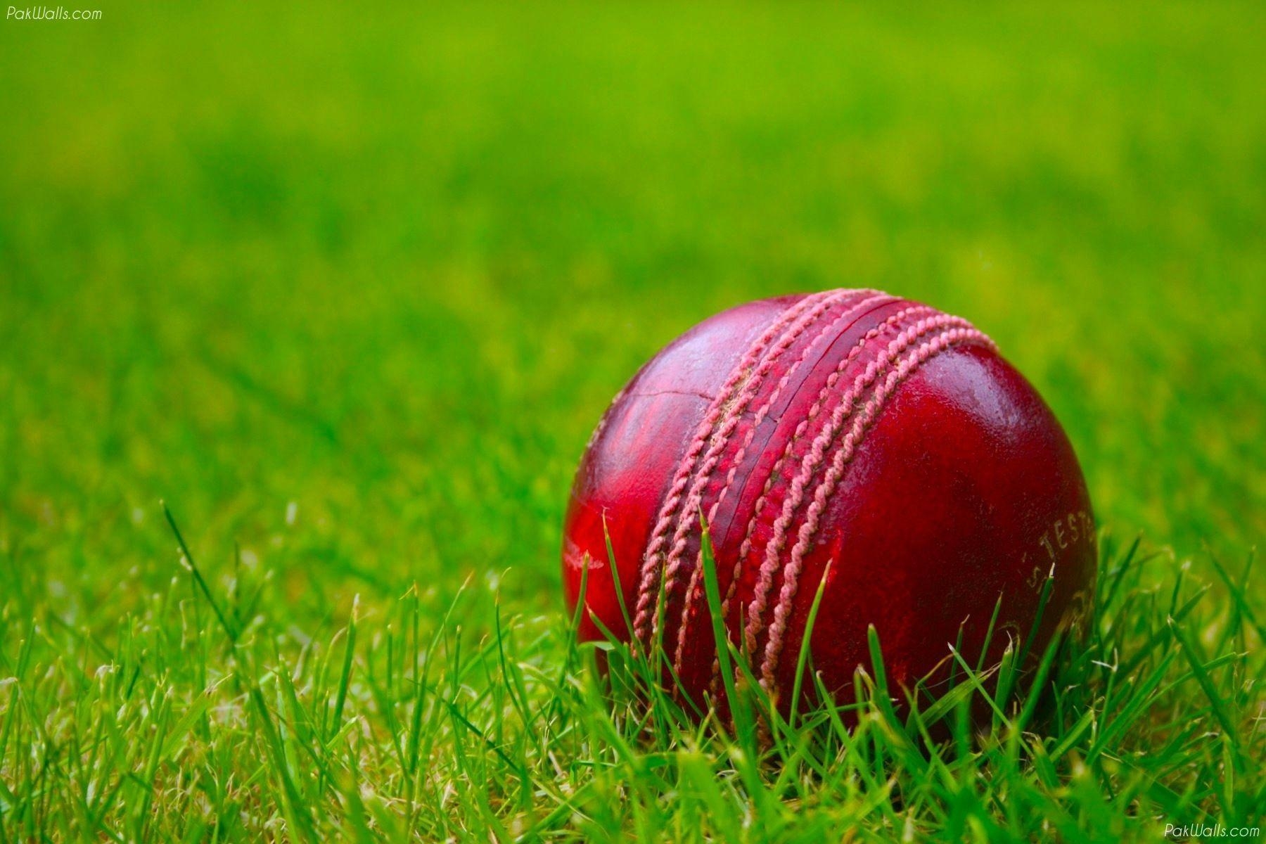 Cricket, Sport, Kommentar, Spiele, Wallpapers, 1800x1200 HD Desktop