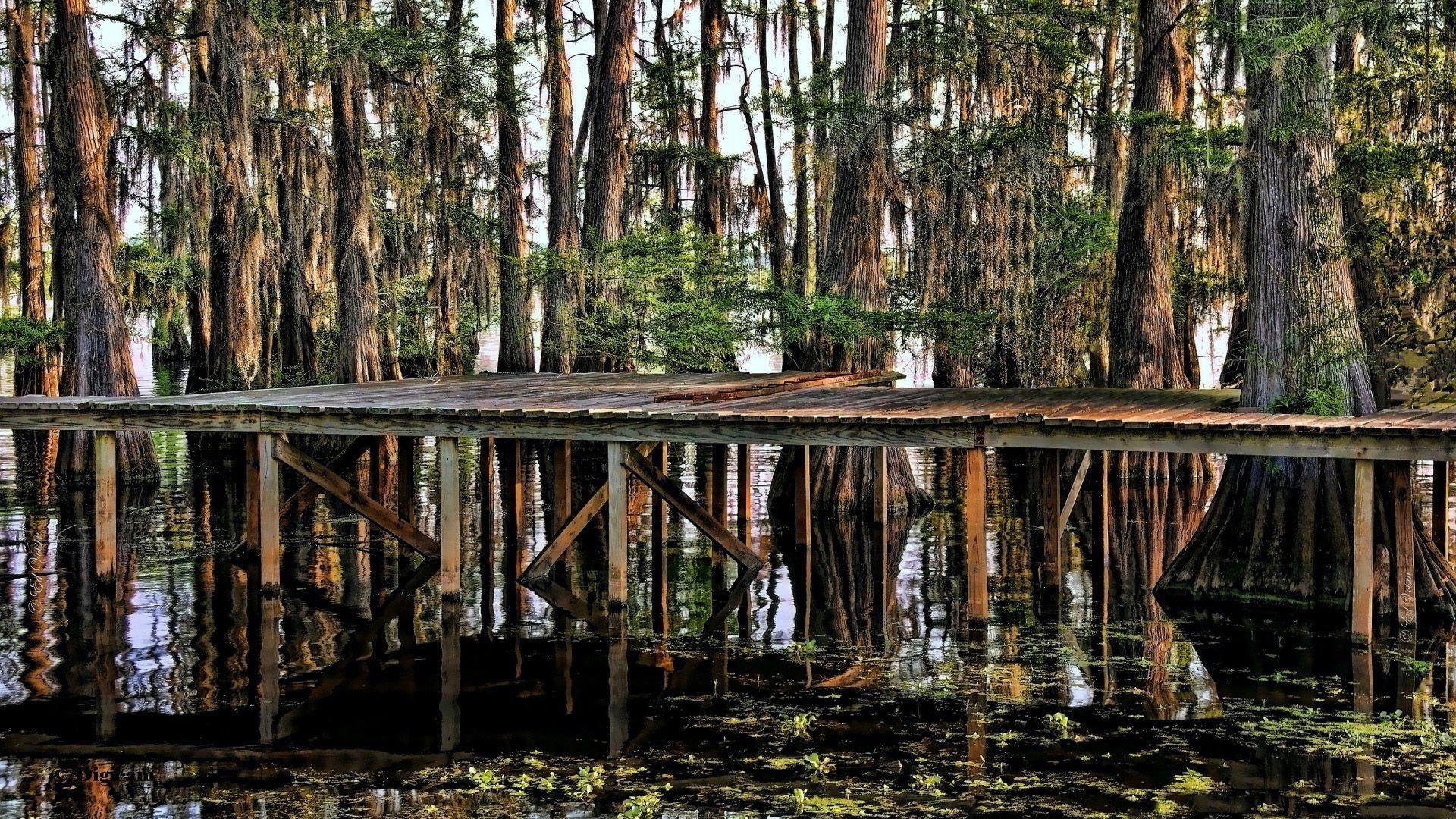 Louisiana, Sumpf, Wasserbrücke, Kunst, Natur, 1920x1080 Full HD Desktop