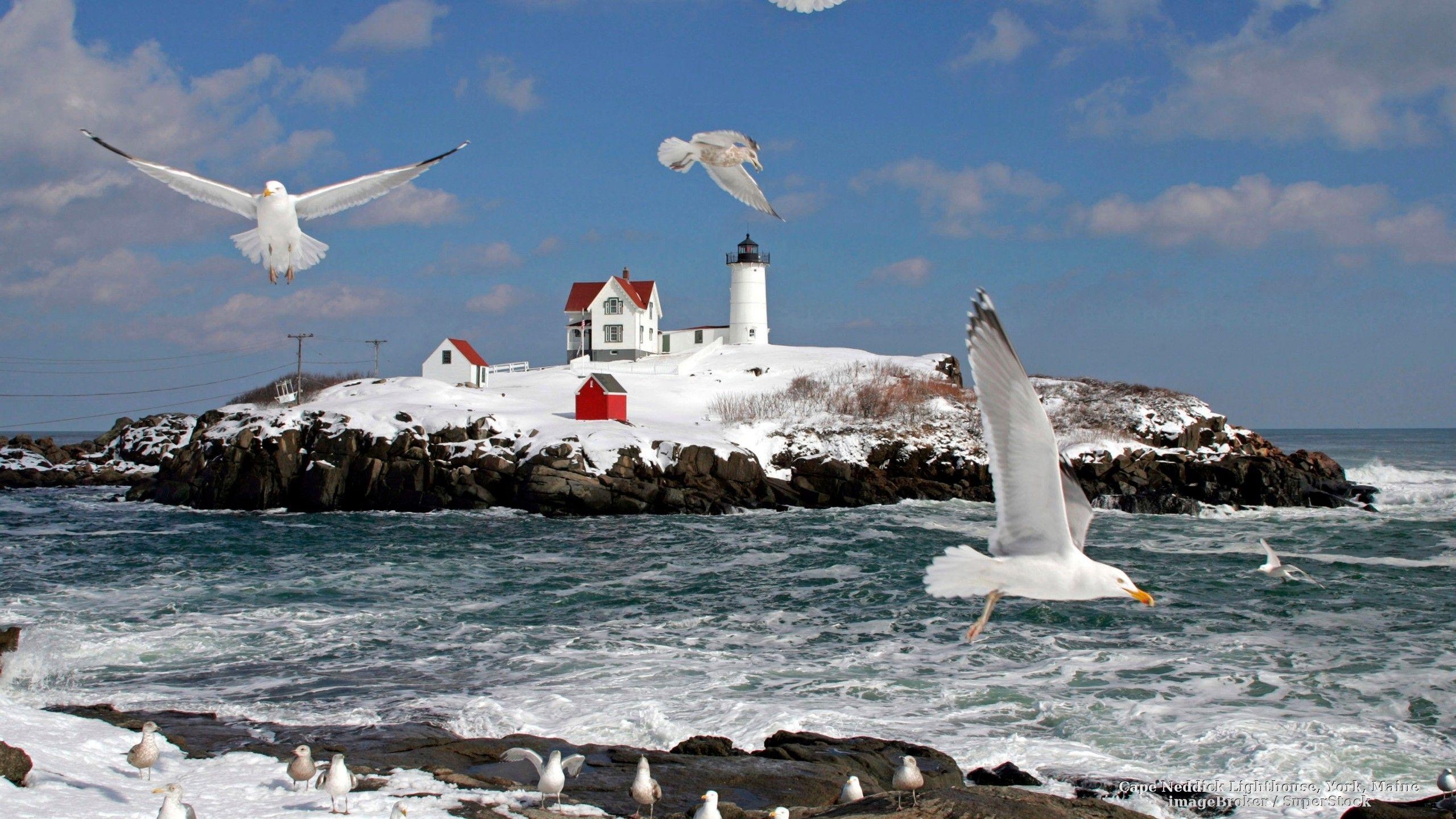 Winter, Natur, Ozean, Leuchtturm, Maine, 2560x1440 HD Desktop