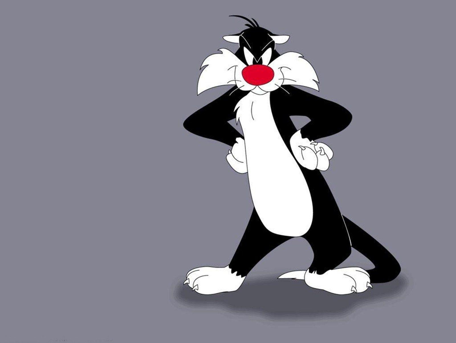 Sylvester der Kater, Tweety, Looney Tunes, Cartoon, Hintergrund, 1600x1210 HD Desktop