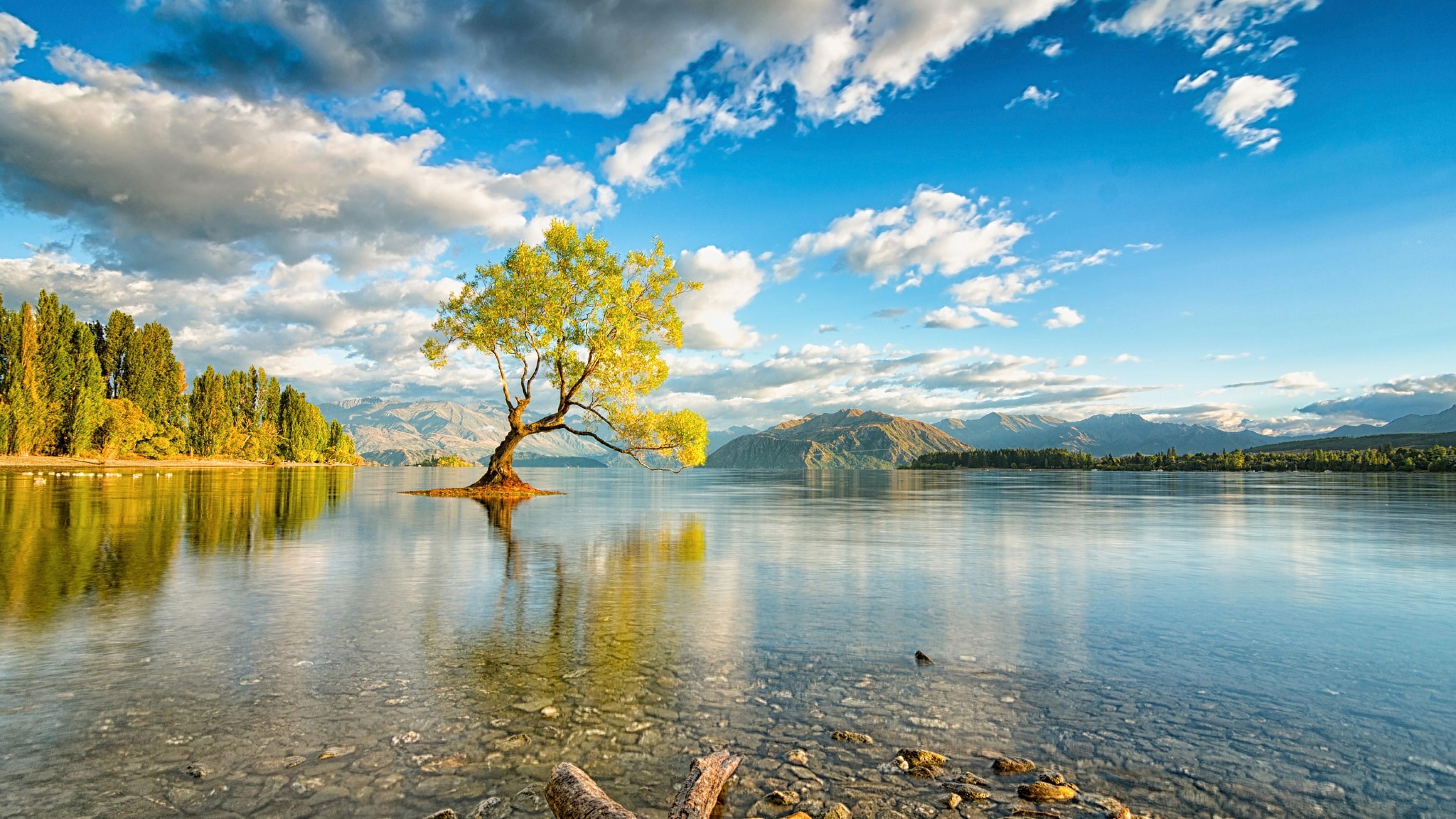 Lone Tree Wanaka, Neuseeland, Natur, Kulisse, Pazifik, 3840x2160 4K Desktop