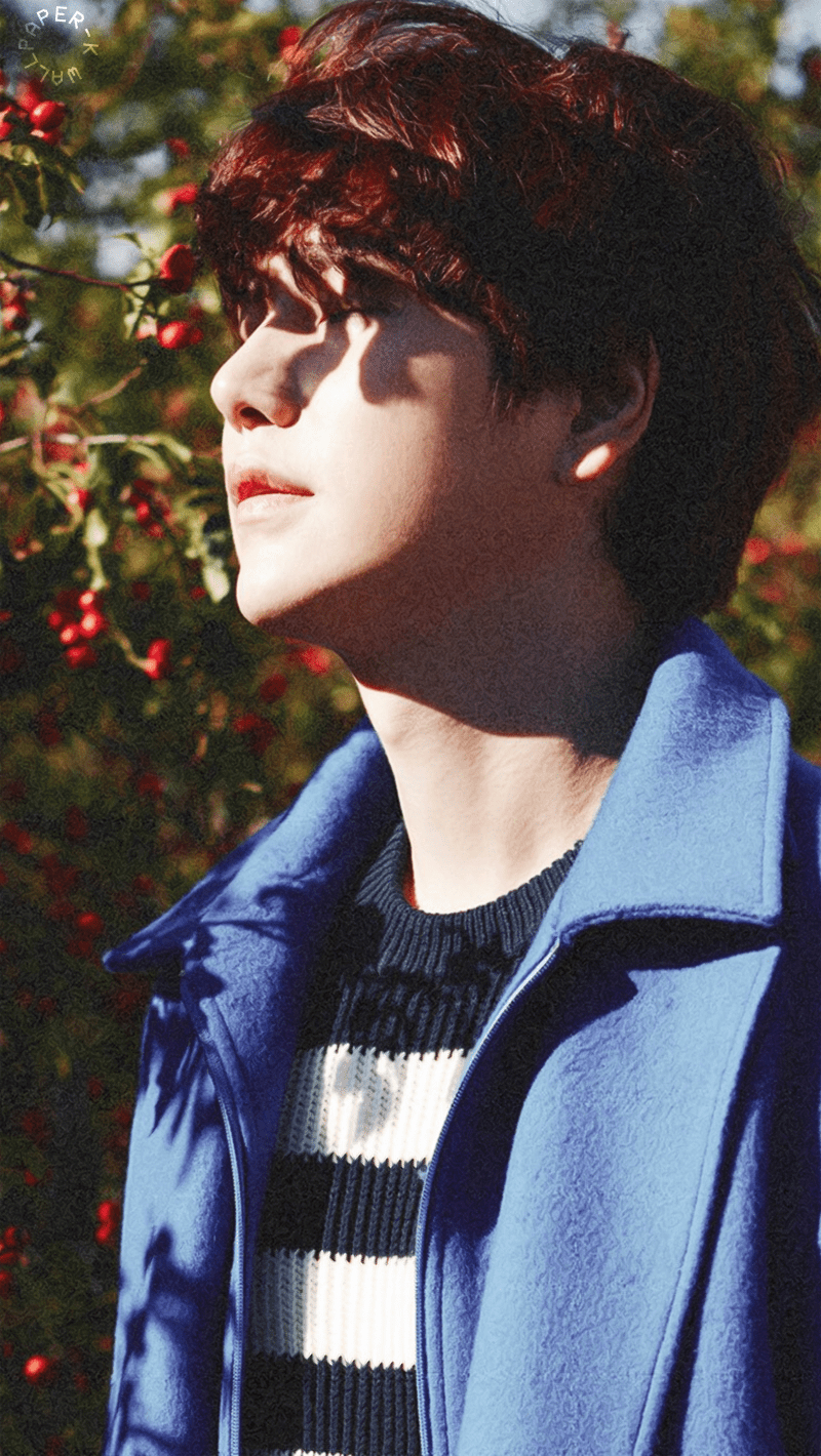 Kyuhyun, Bild, Wallpaper, Musik, Sänger, 800x1420 HD Handy