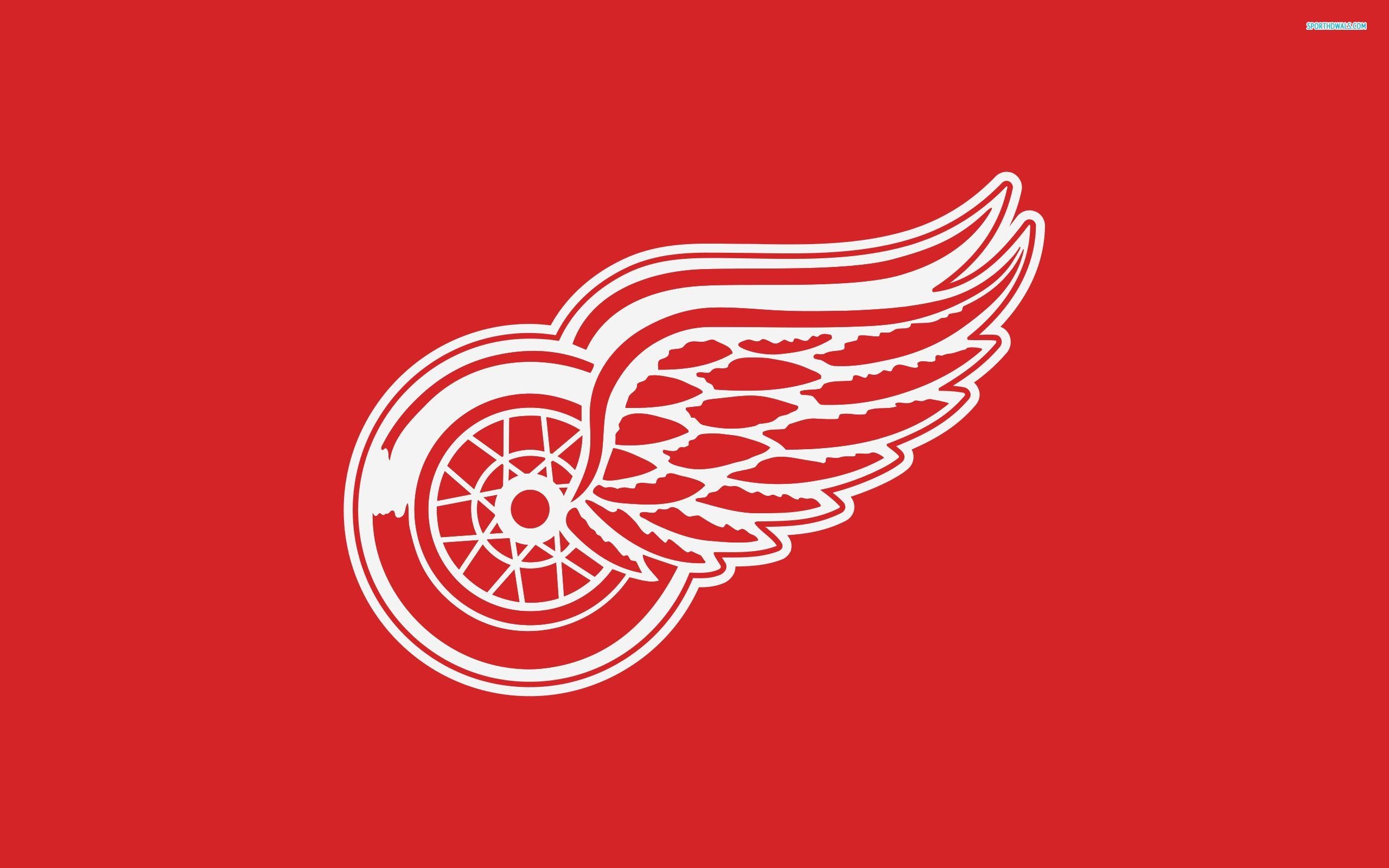 Detroit Red Wings, Hockey, Rot, Design, Sport, 2560x1600 HD Desktop