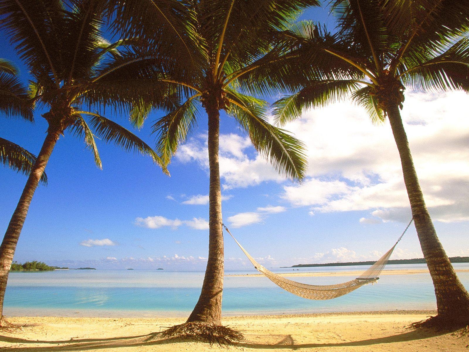 Cook Inseln, Aitutaki, Palmen, Strand, Paradies, 1600x1200 HD Desktop