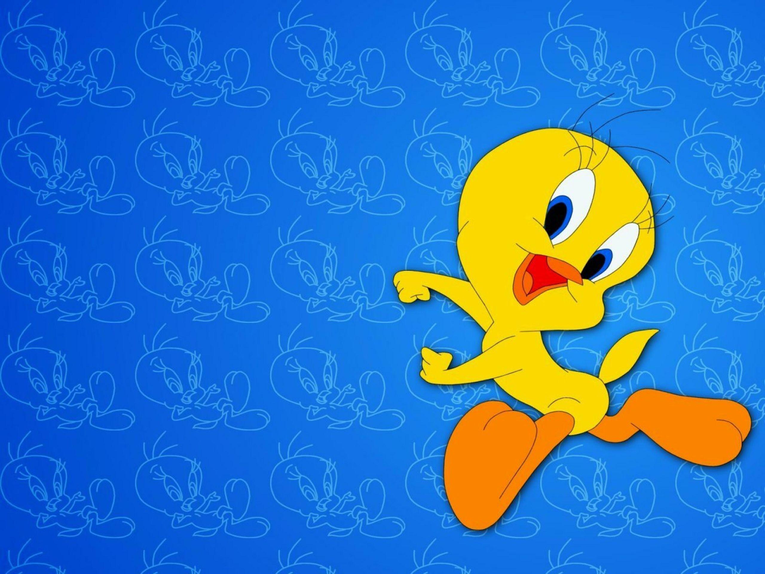 Looney Tunes, Cartoons, Witzig, Unterhaltsam, Figuren, 2560x1920 HD Desktop