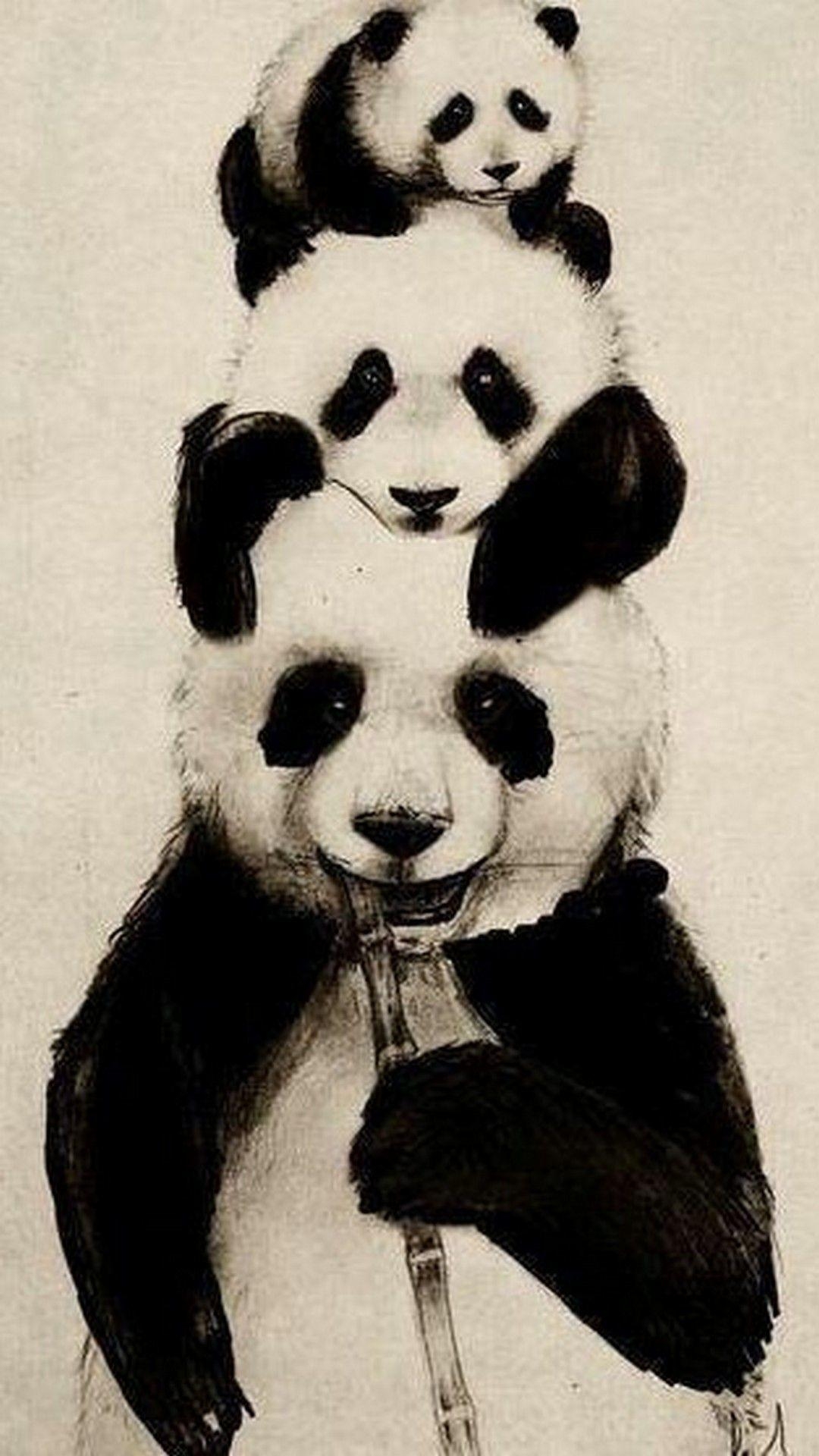 Panda, Tierbilder, HD, Hintergrundbild, Niedlich, 1080x1920 Full HD Handy