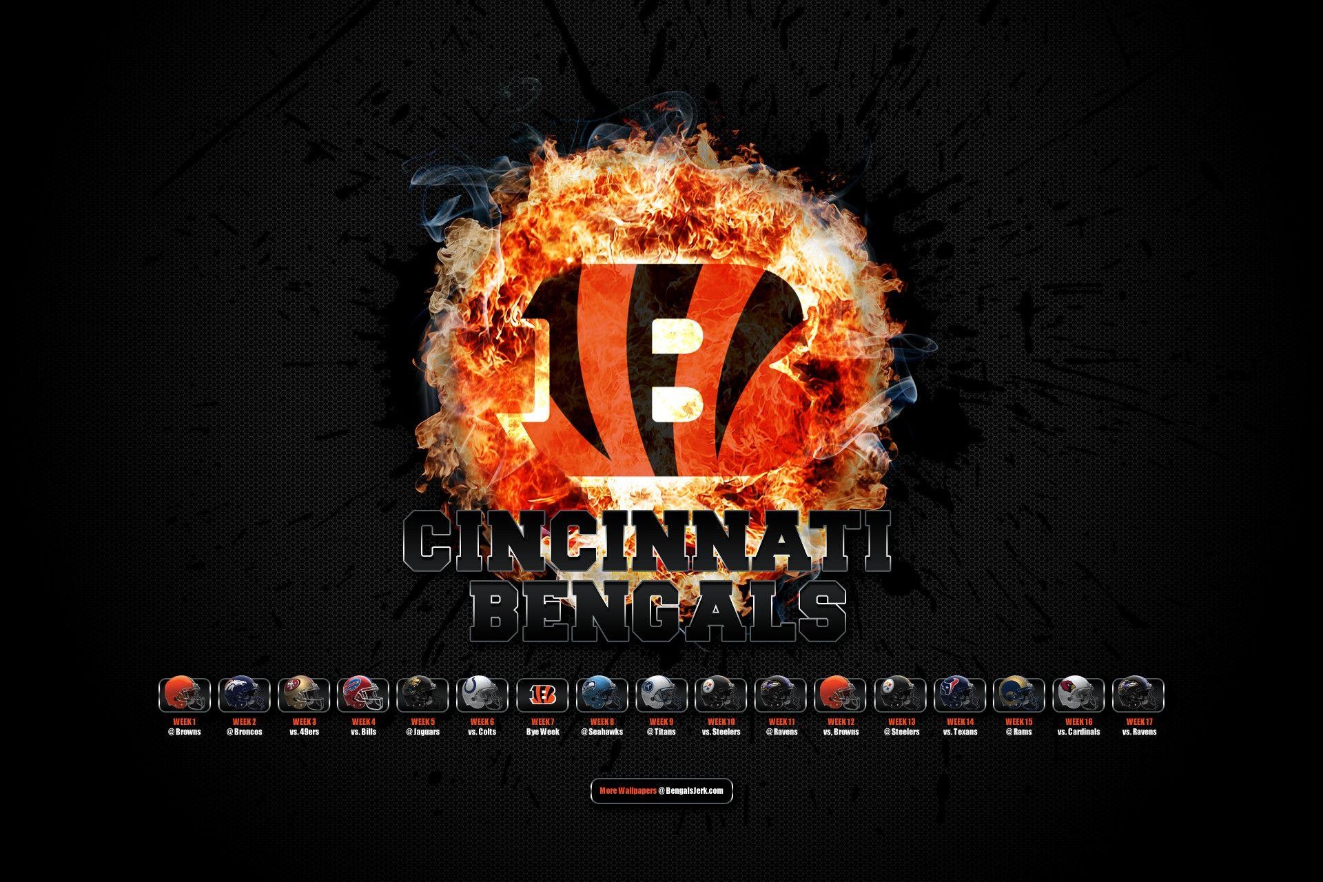 Cincinnati Bengals, Sport, HD, Hintergrund, Bild, 1920x1280 HD Desktop