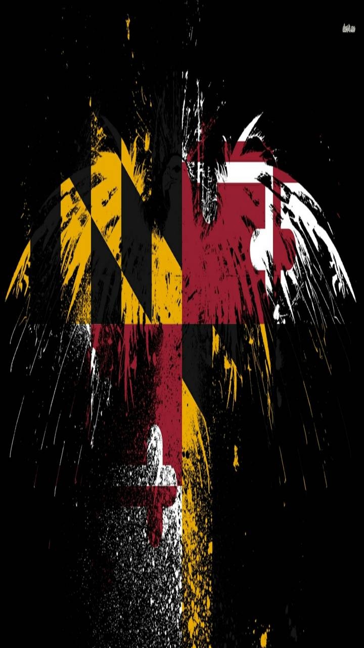 Maryland Flaggenvogel, Staat, Hintergrund, USA, Kunst, 720x1280 HD Handy