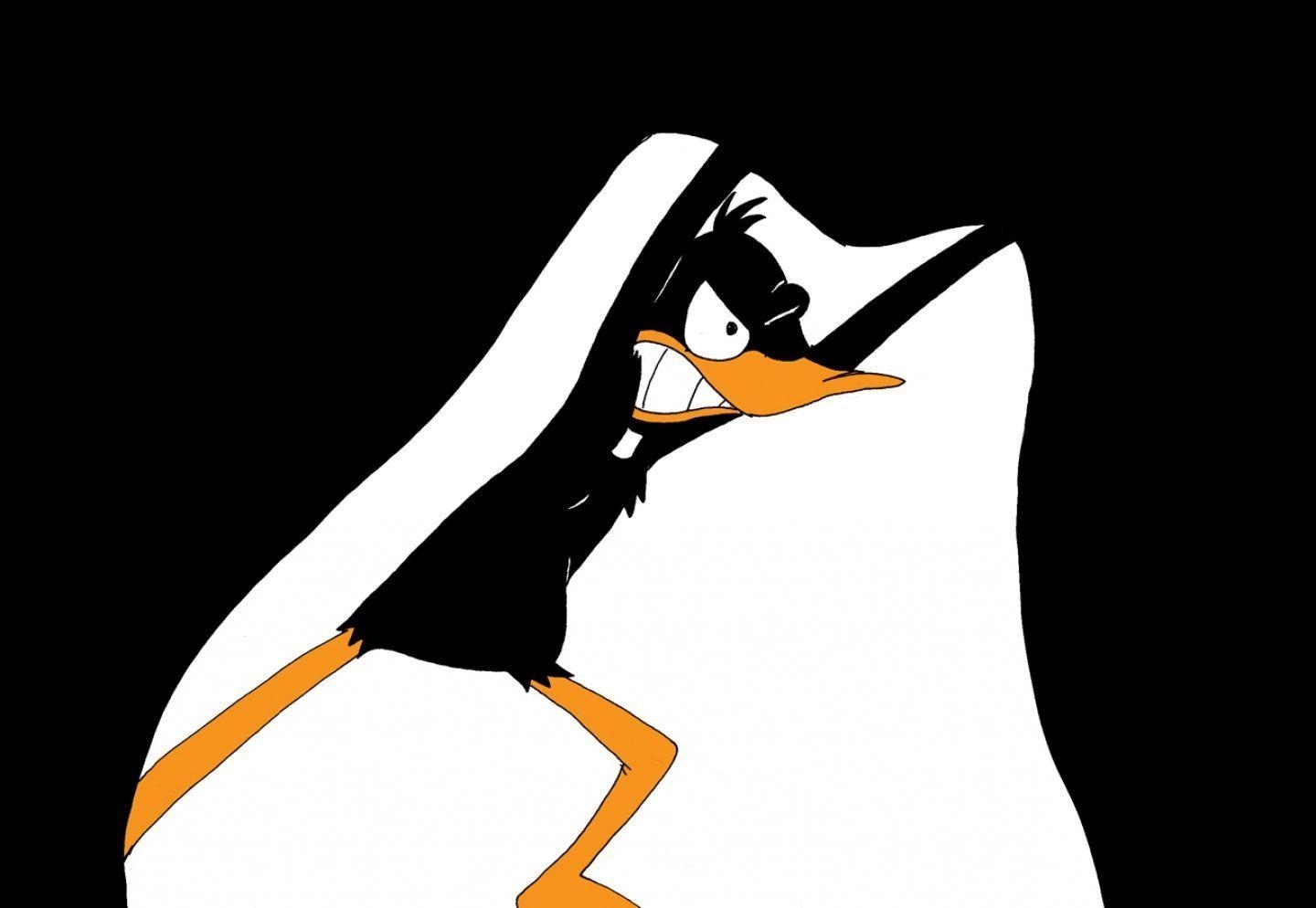 Daffy Duck, Hintergrundbild, Ente, Cartoon, Kreativ, 1440x1000 HD Desktop