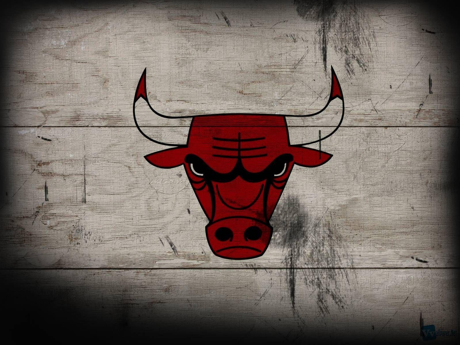 Chicago Bulls, Bild, Sport, Basketball, Team, 1600x1200 HD Desktop