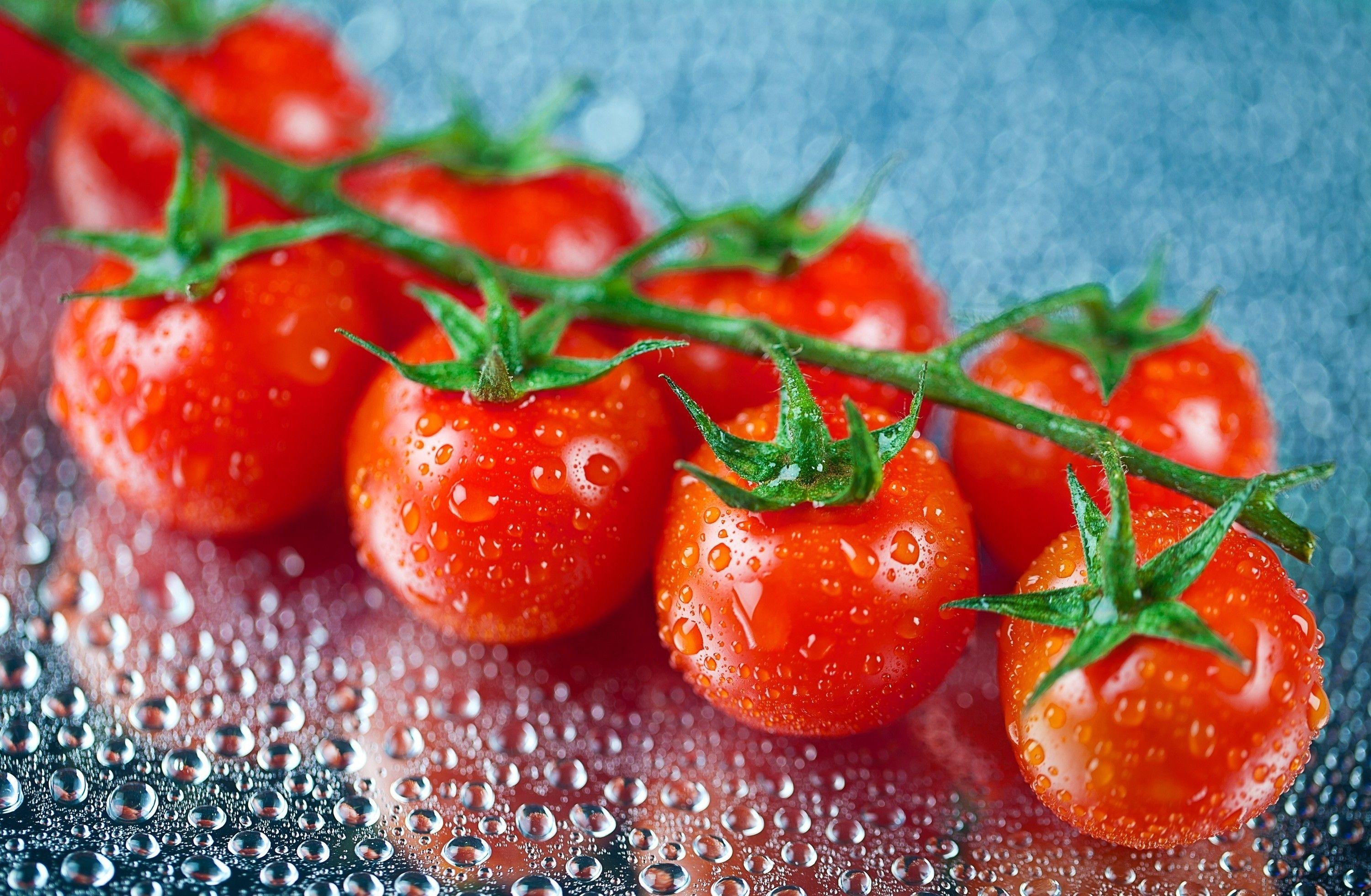 Tomate, Essen, HD Hintergrund, Bild, Gemüse, 3000x1970 HD Desktop