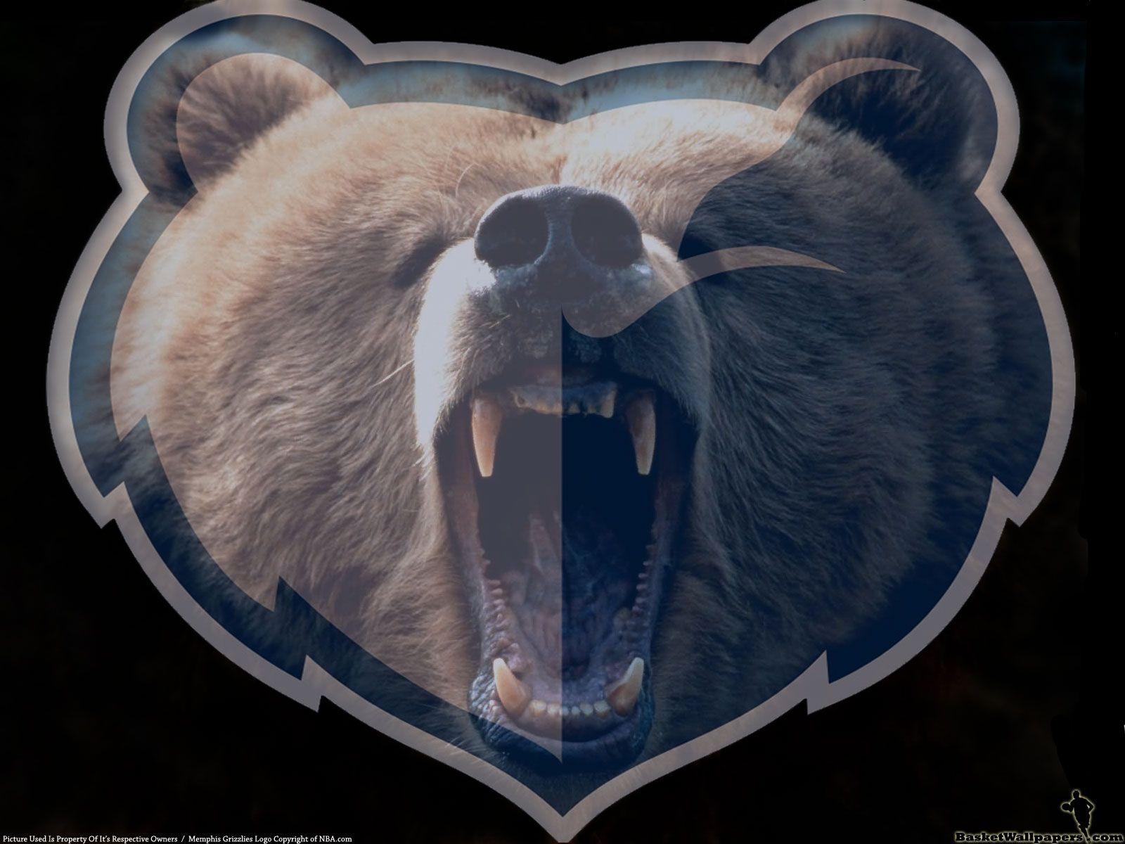 Grizzlies, Tierlogo, Basketball, Hintergrund, NBA, 1600x1200 HD Desktop