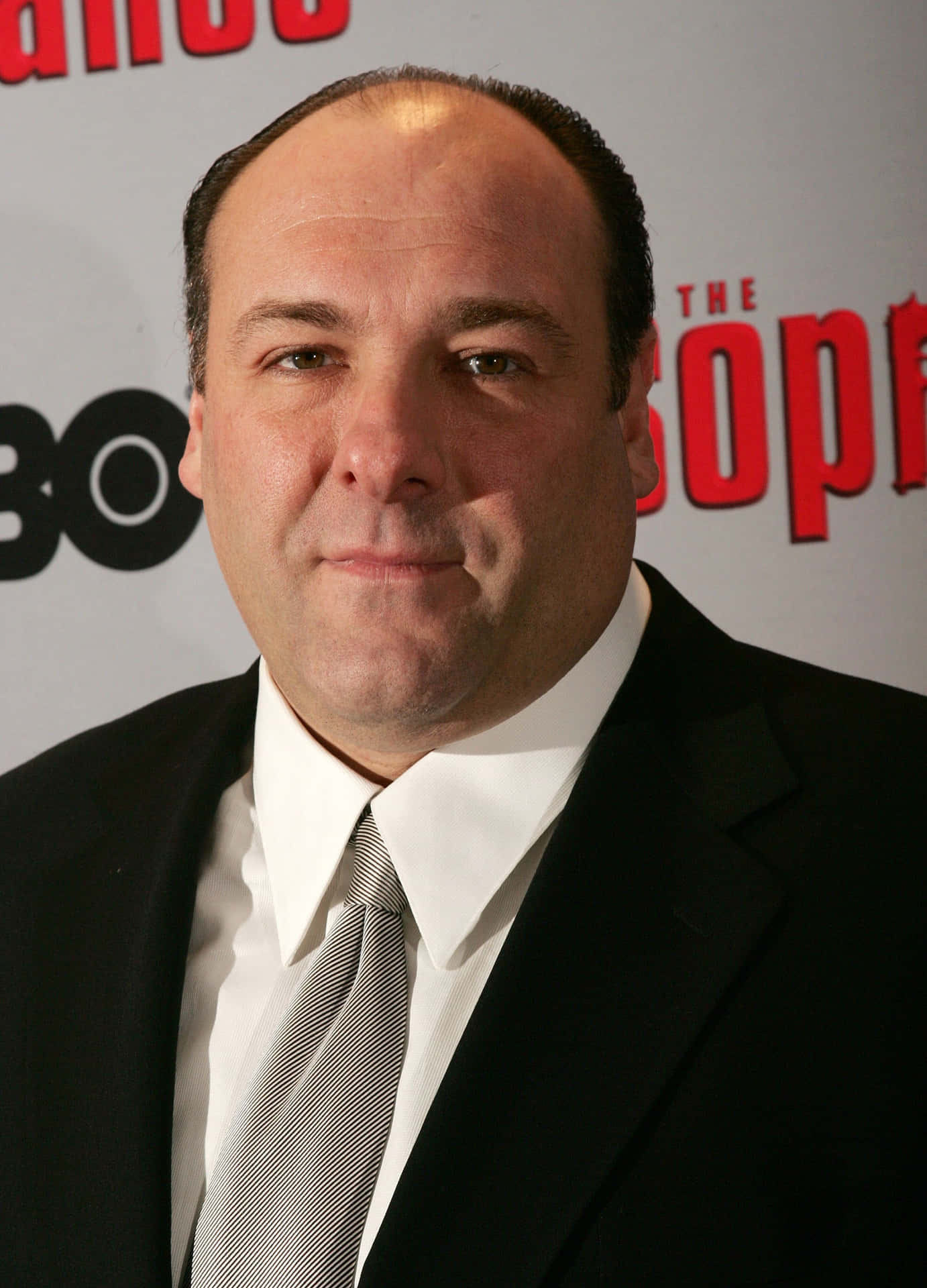 James Gandolfini, Schauspieler, Filme, Hintergrund, Kino, 1390x1920 HD Handy