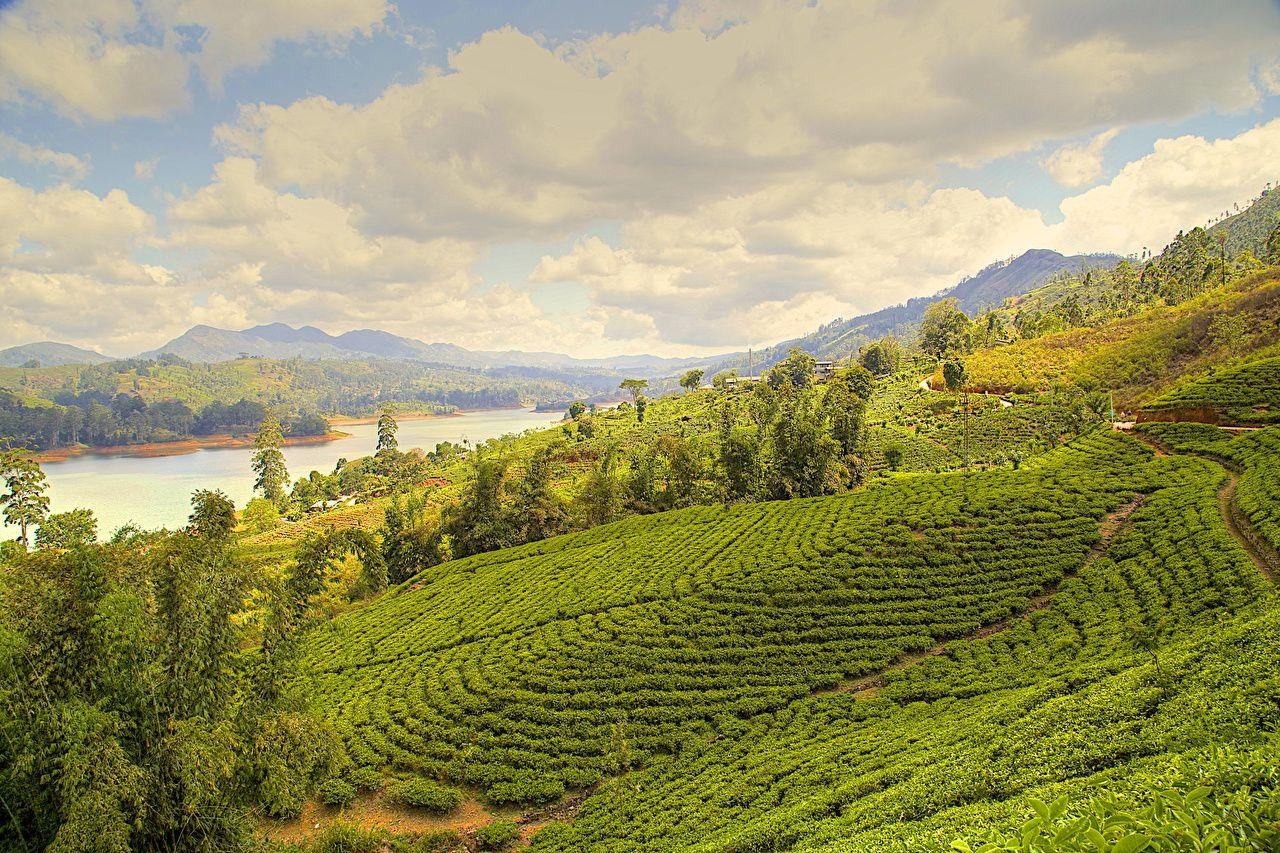 Nuwara Eliya, Natur, Fluss, Landschaft, Szenen, 1280x860 HD Desktop