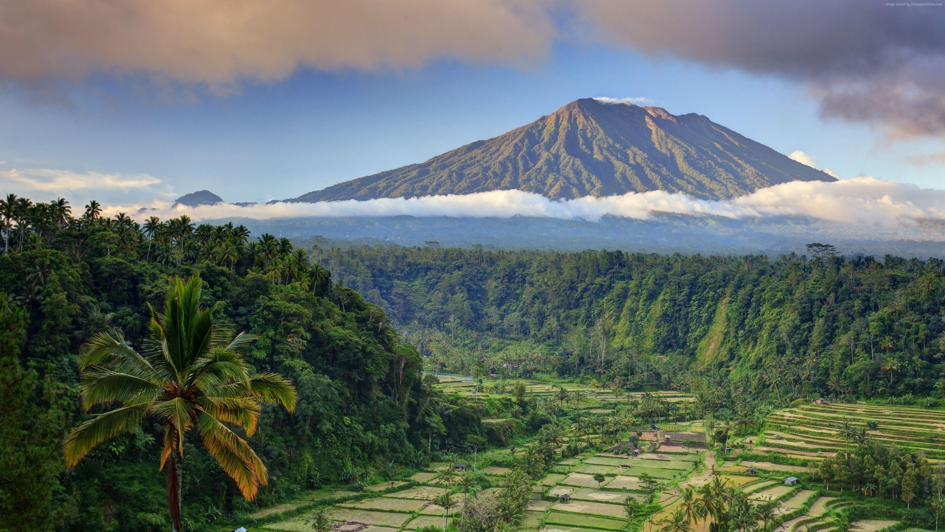 Bali, Palmen, Berge, Wolken, 5K, 3840x2160 4K Desktop