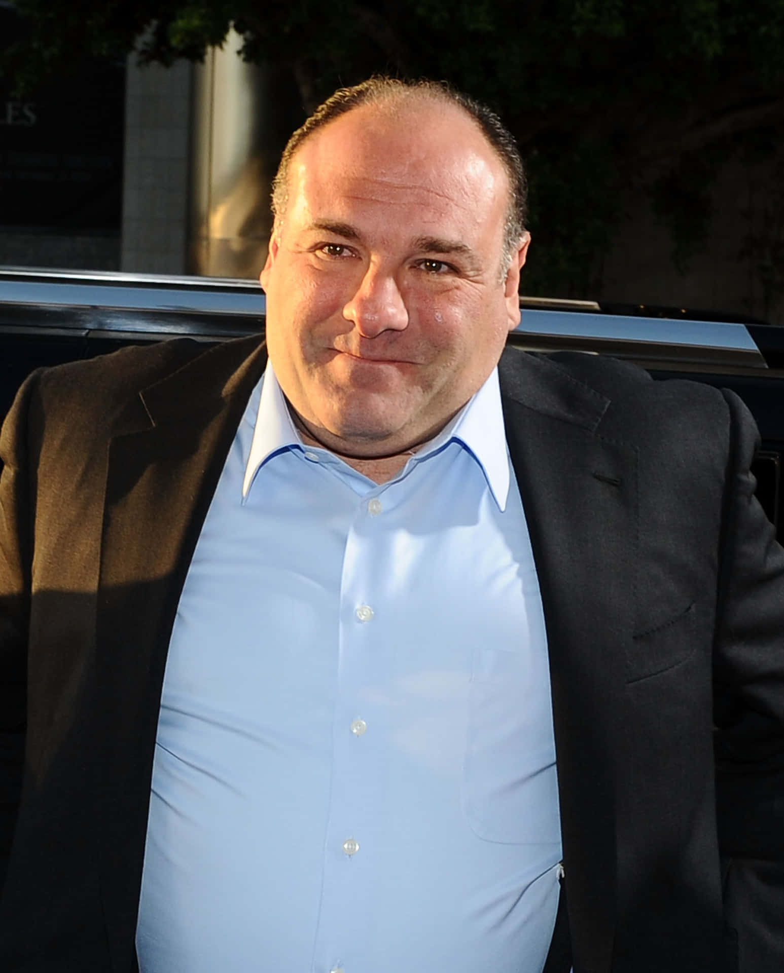 James Gandolfini, Filmikone, Charakterrollen, Schauspieler, Kult, 1550x1920 HD Handy