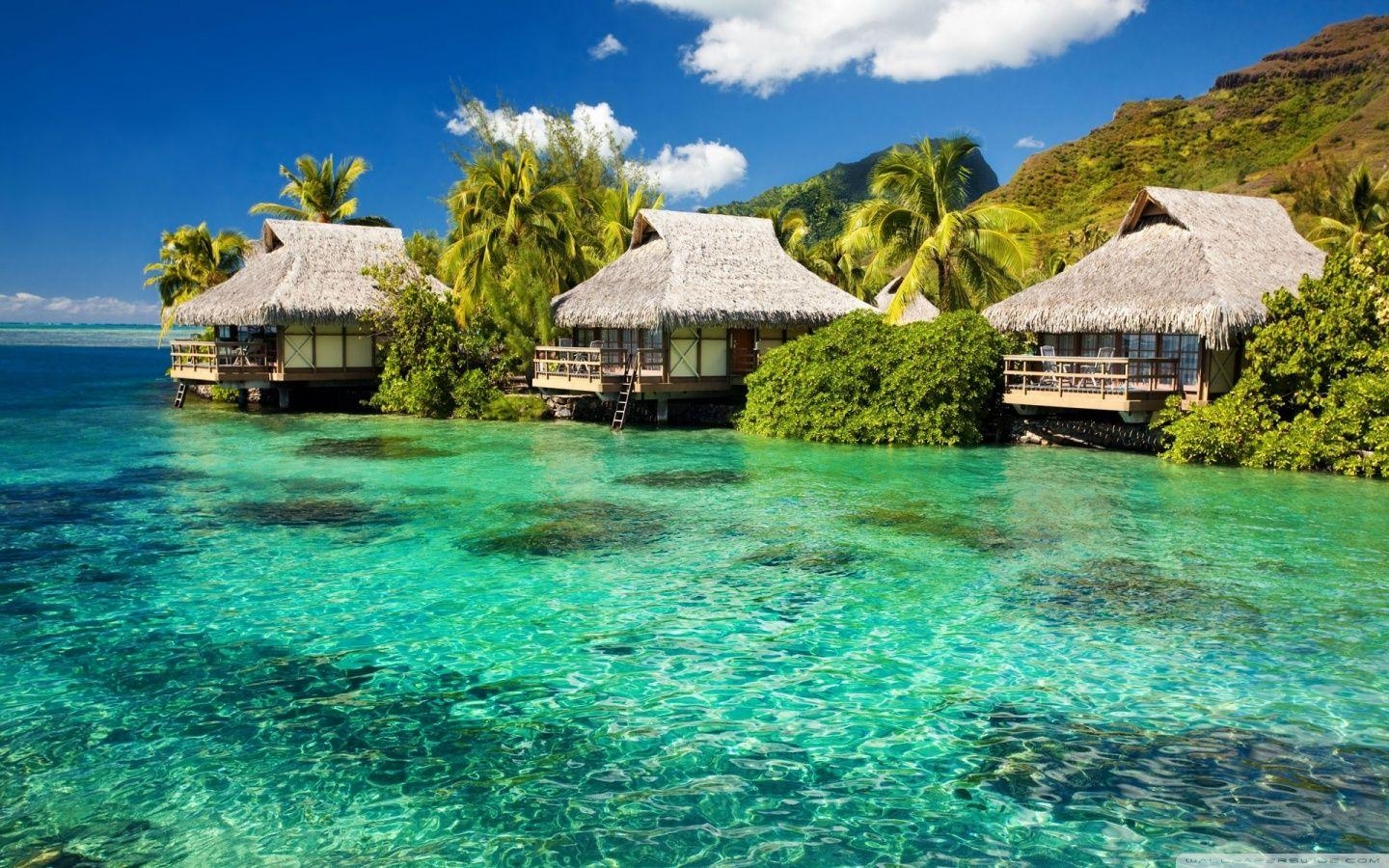 Wasserbungalows, Tropische Insel, 4K HD, Paradies, Urlaub, 1440x900 HD Desktop