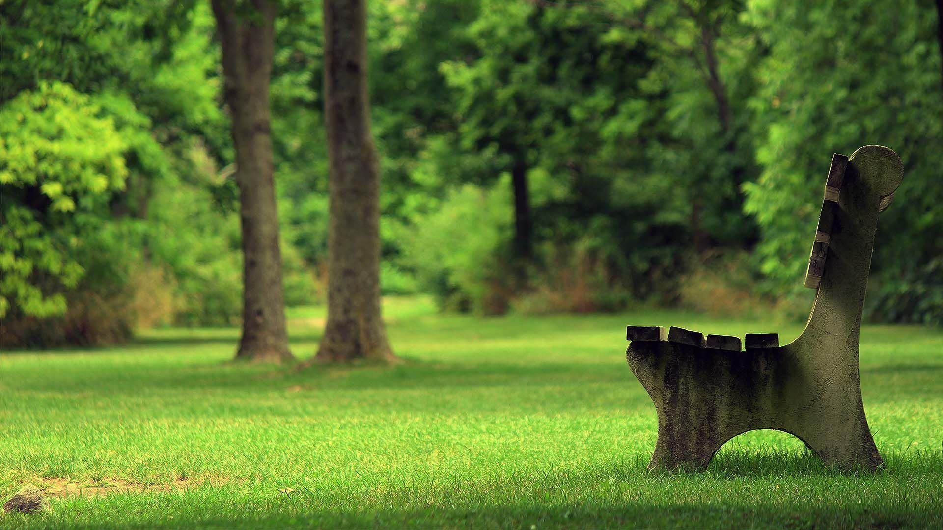 Fotografie, Bank, Grüner Park, PC, Natur, 1920x1080 Full HD Desktop