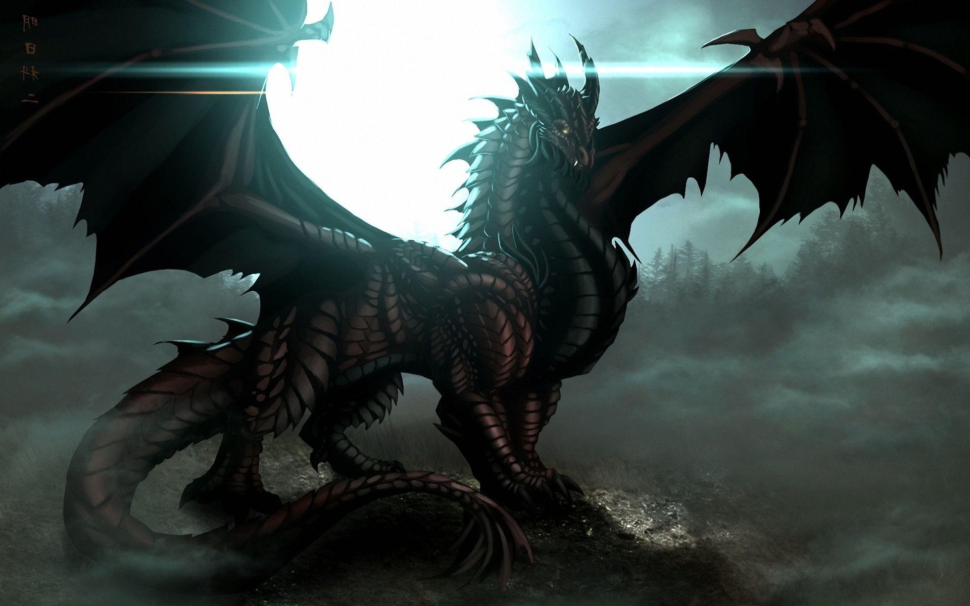 Drache, Fantasy, Bild, Kunst, Hintergrund, 1920x1200 HD Desktop