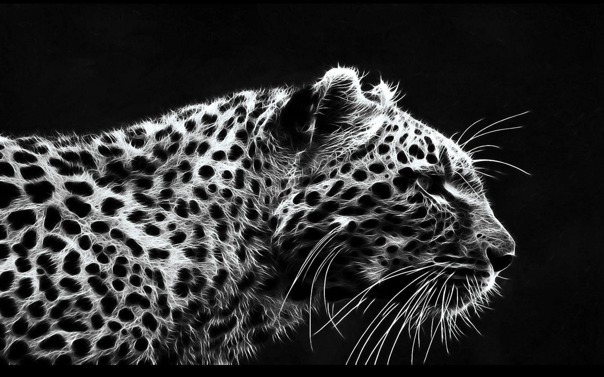 Schwarzer Leopard, Tierbild, Naturwild, 1920x1200 HD Desktop