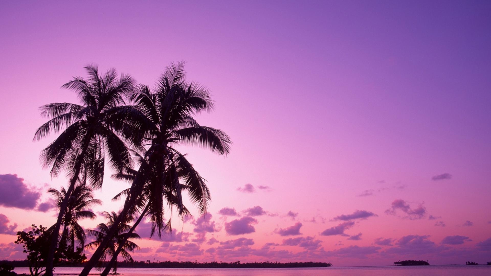 Palmen Natur, Tropisch, Himmel, Baum, Strand, 1920x1080 Full HD Desktop