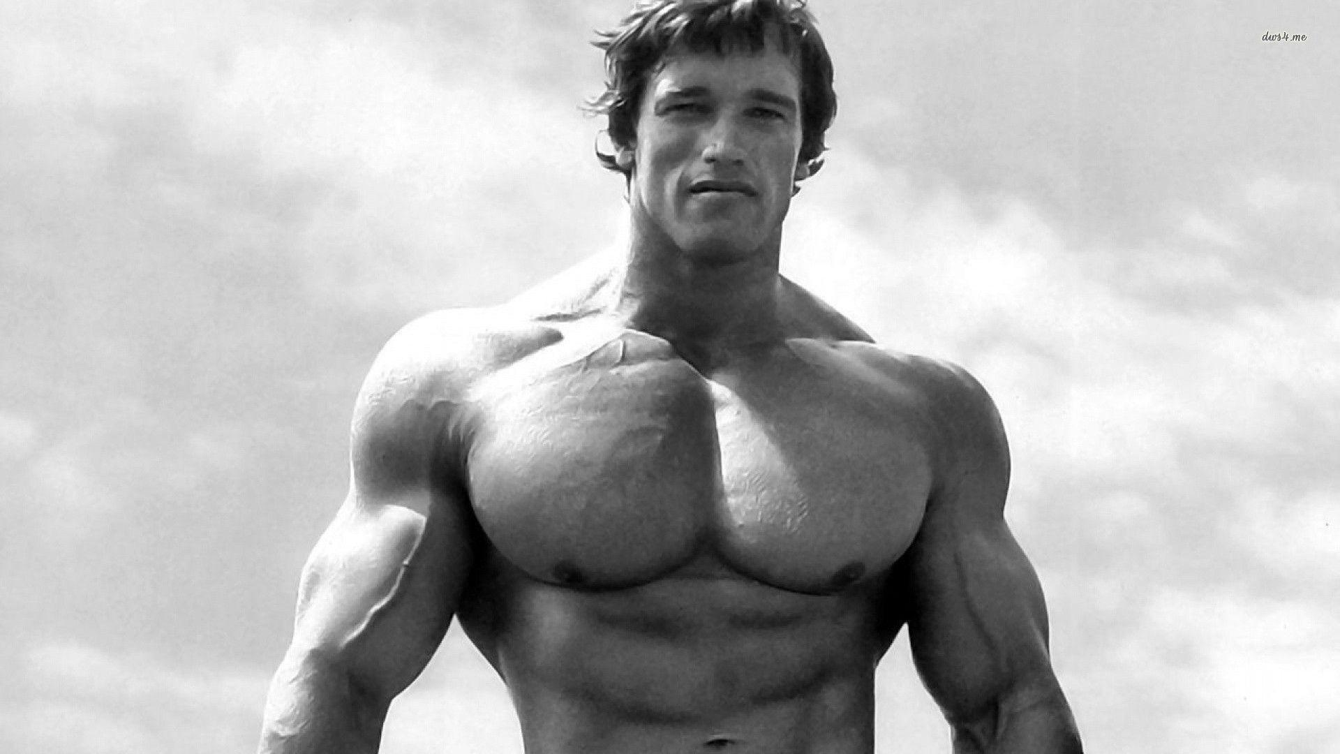 Arnold Schwarzenegger, Hochwertig, Wallpaper, Fitness, Schauspieler, 1920x1080 Full HD Desktop