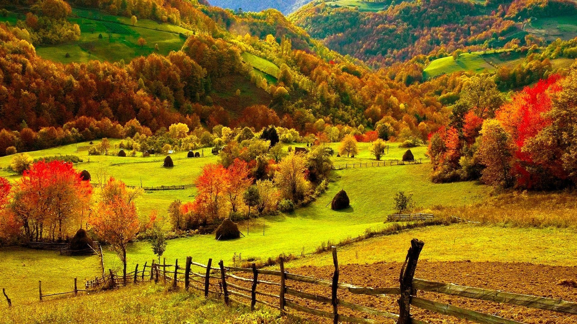 Herbst, Desktop, Hintergrund, Schönheit, Natur, 1920x1080 Full HD Desktop