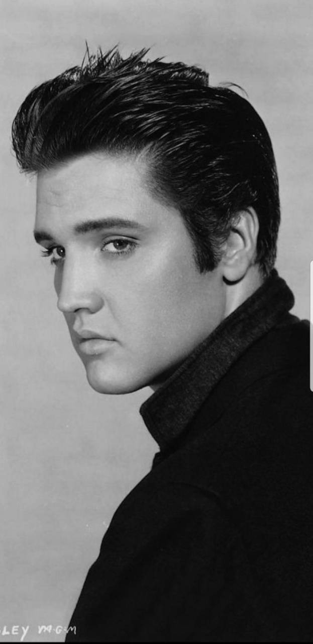 Elvis Presley, Hintergrund, Musik, Künstler, Rock, 630x1280 HD Handy