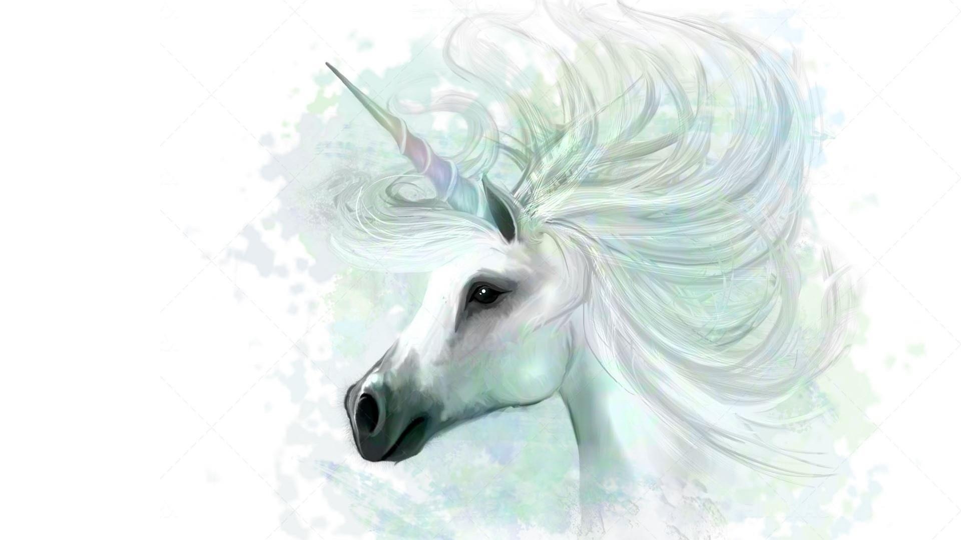 Einhorn, Kunst, HD, Studio, Kreativität, 1920x1080 Full HD Desktop