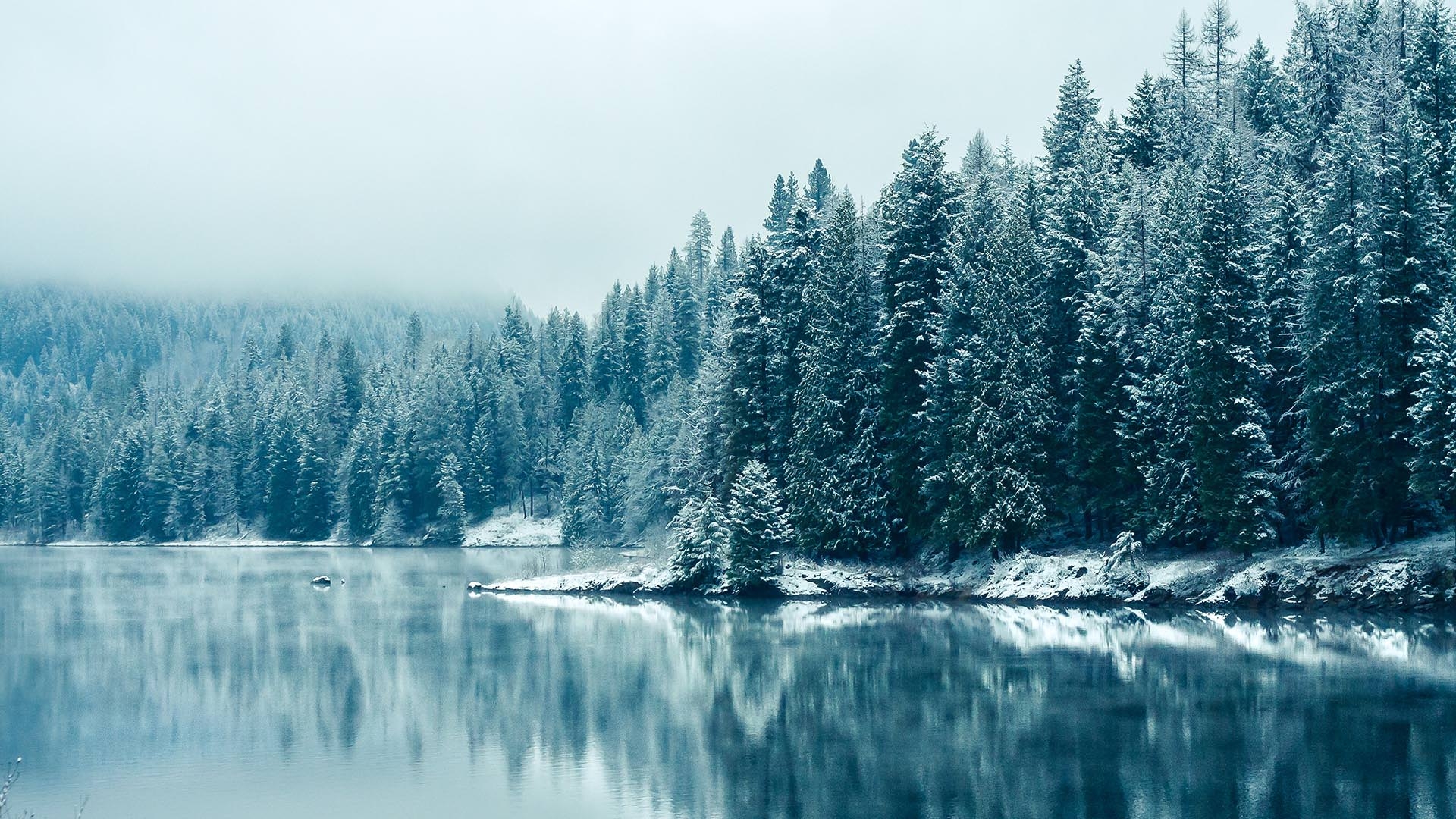 Gefrorener Wald, Kiefern, Winter, Natur, Eisig, 1920x1080 Full HD Desktop