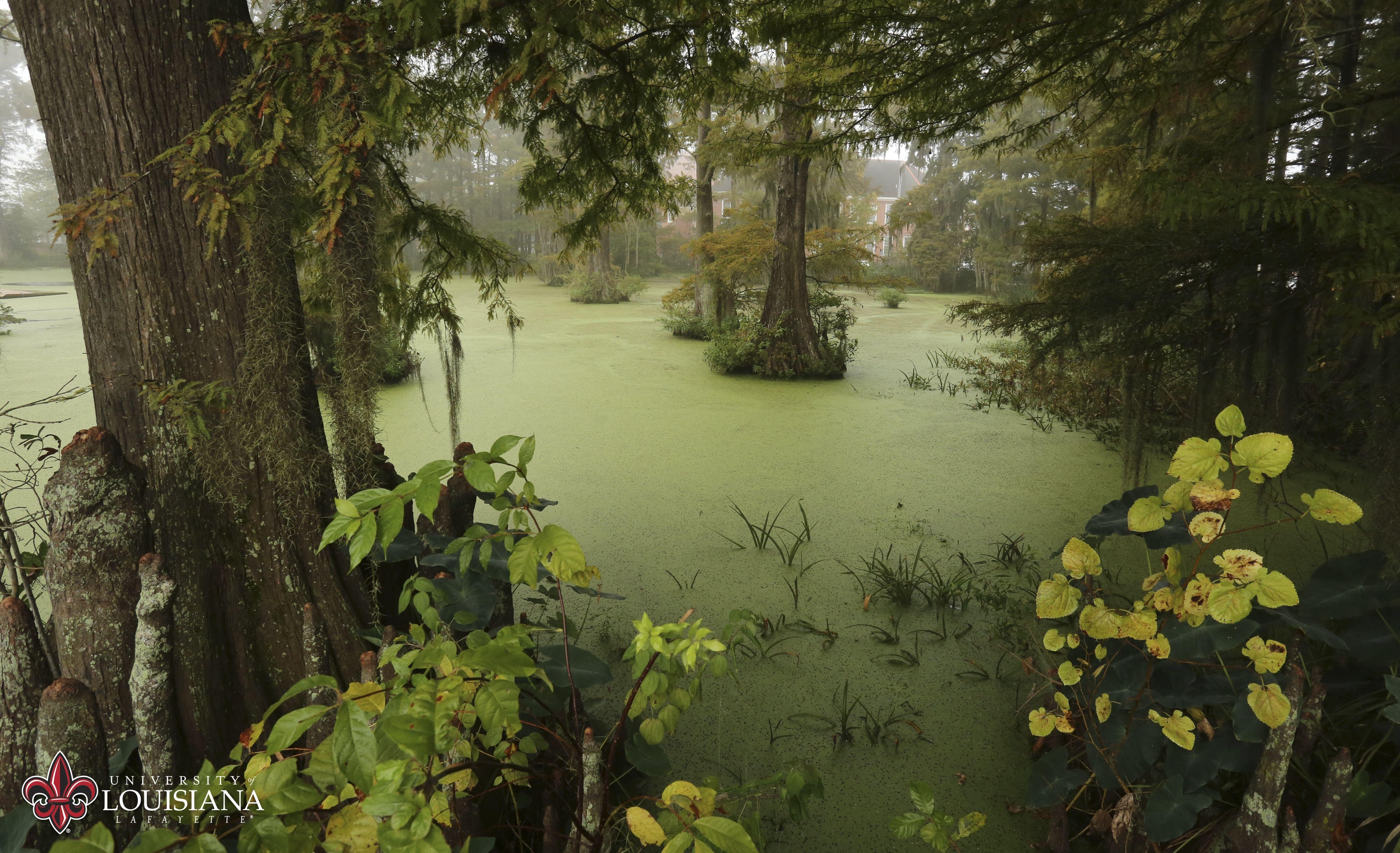 Lafayette, Louisiana, USA, HD-Download, Reisen, 4500x2750 4K Desktop