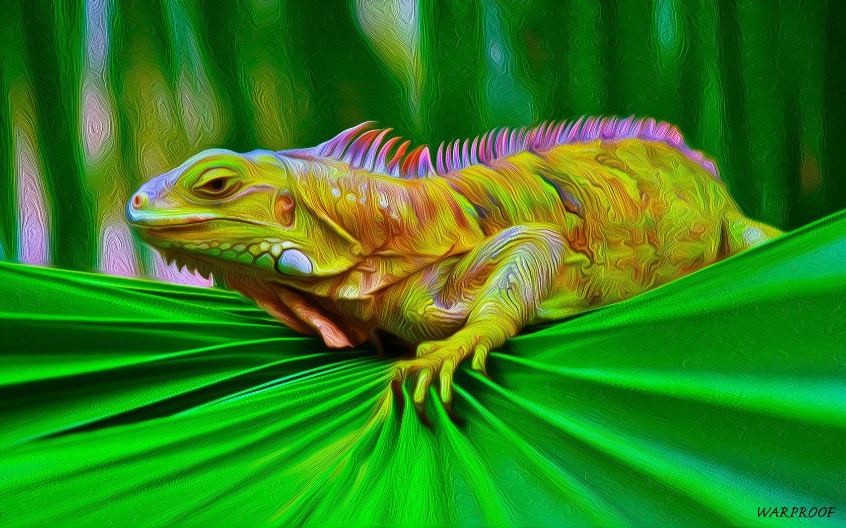 Iguana, Reptilien, Tiere, Echse, Natur, 1680x1050 HD Desktop