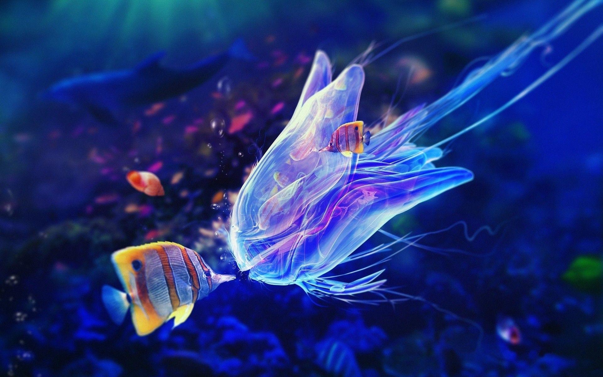 Kostenlos, Tropische Fische, Bild, Ozean, HD, 1920x1200 HD Desktop