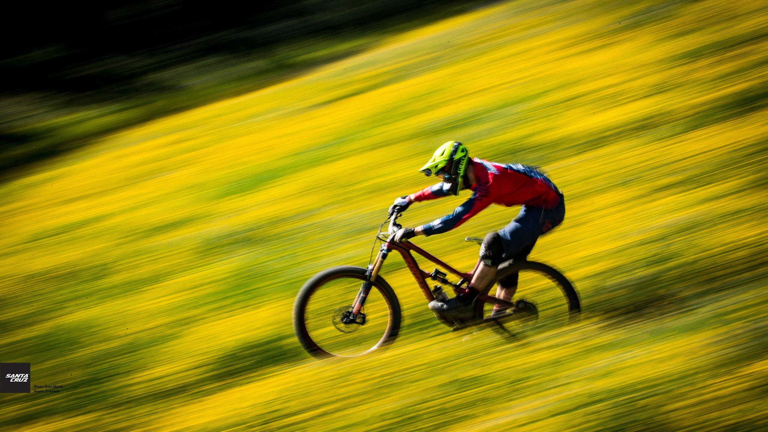 Santa Cruz, Fahrräder, Hintergrund, Radfahren, Sport, 2560x1440 HD Desktop