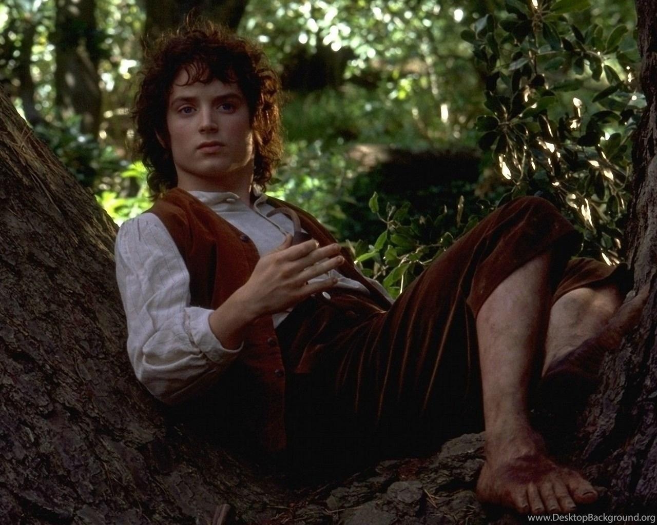 Elijah Wood, Herr der Ringe, Desktop, Schauspieler, Epos, 1280x1030 HD Desktop